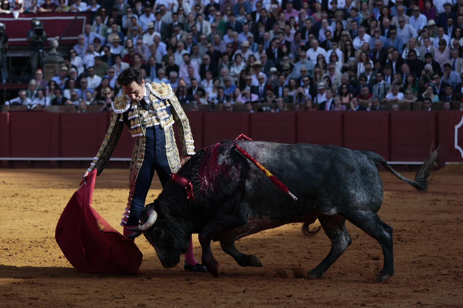 las imágenes del festejo