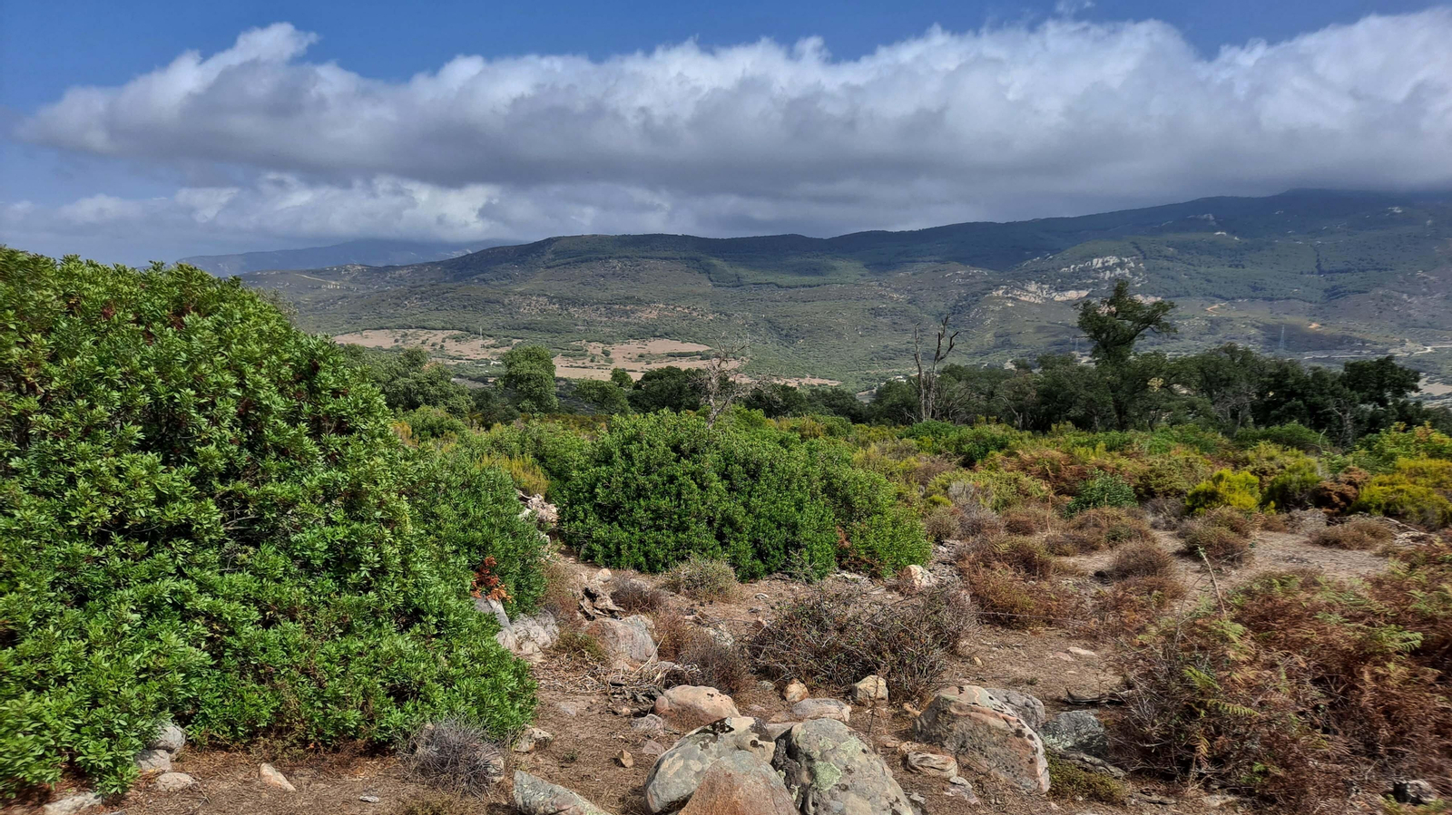 Fotos del sendero de la garganta del Rayo en Tarifa