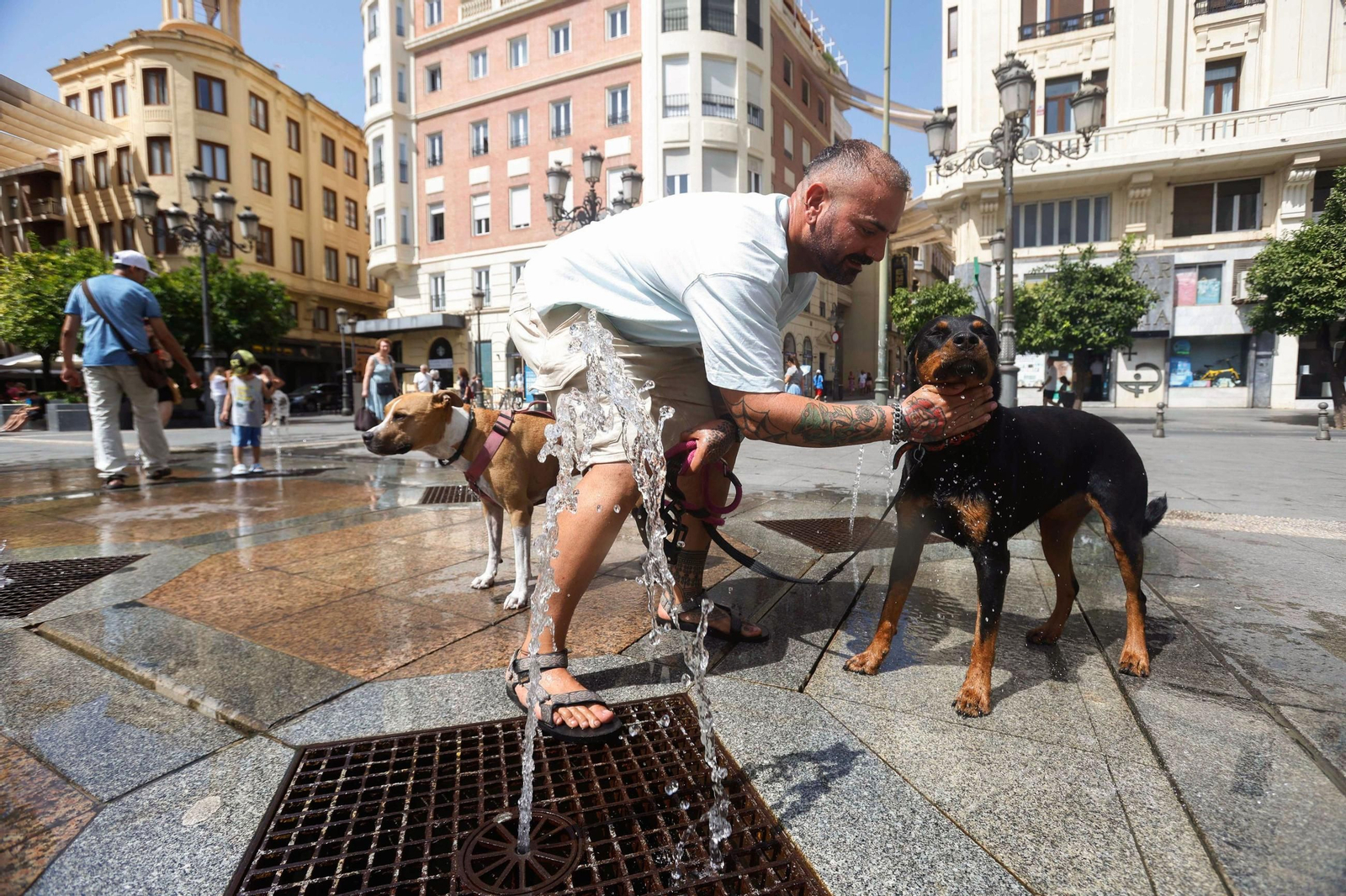 Un hombre refresca a sus perros en Las Tendillas.