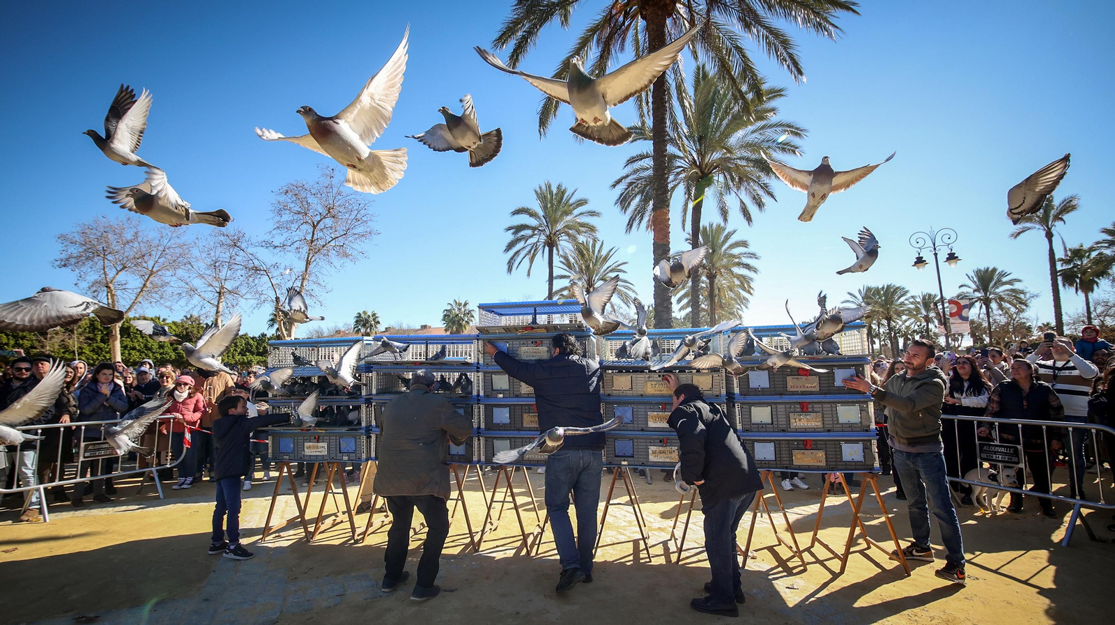 Búscate en San Antón de Jerez