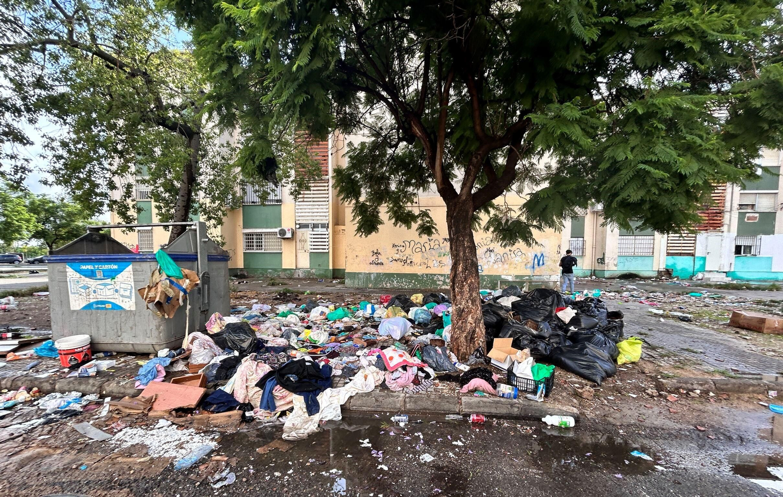 Suciedad acumulada en la zona de los Verdes, en el Polígono Sur, este lunes.
