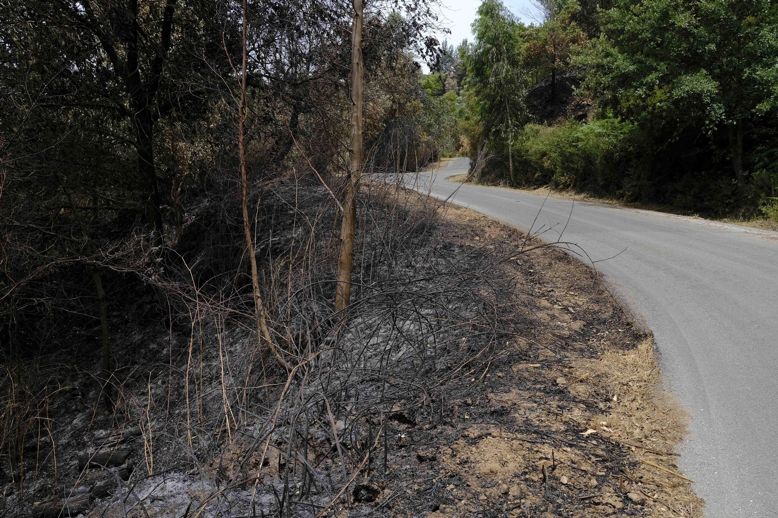 El incendio de Sierra Bermeja una semana después, en fotos