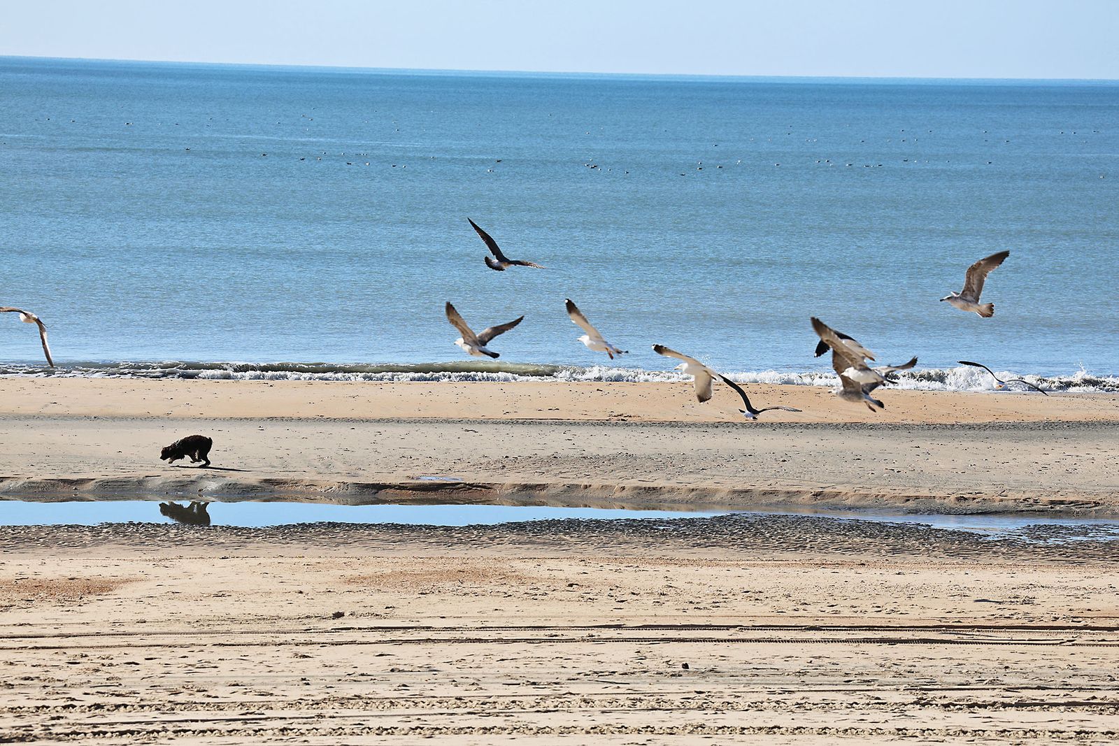 Las mejores fotografías del domingo en Huelva