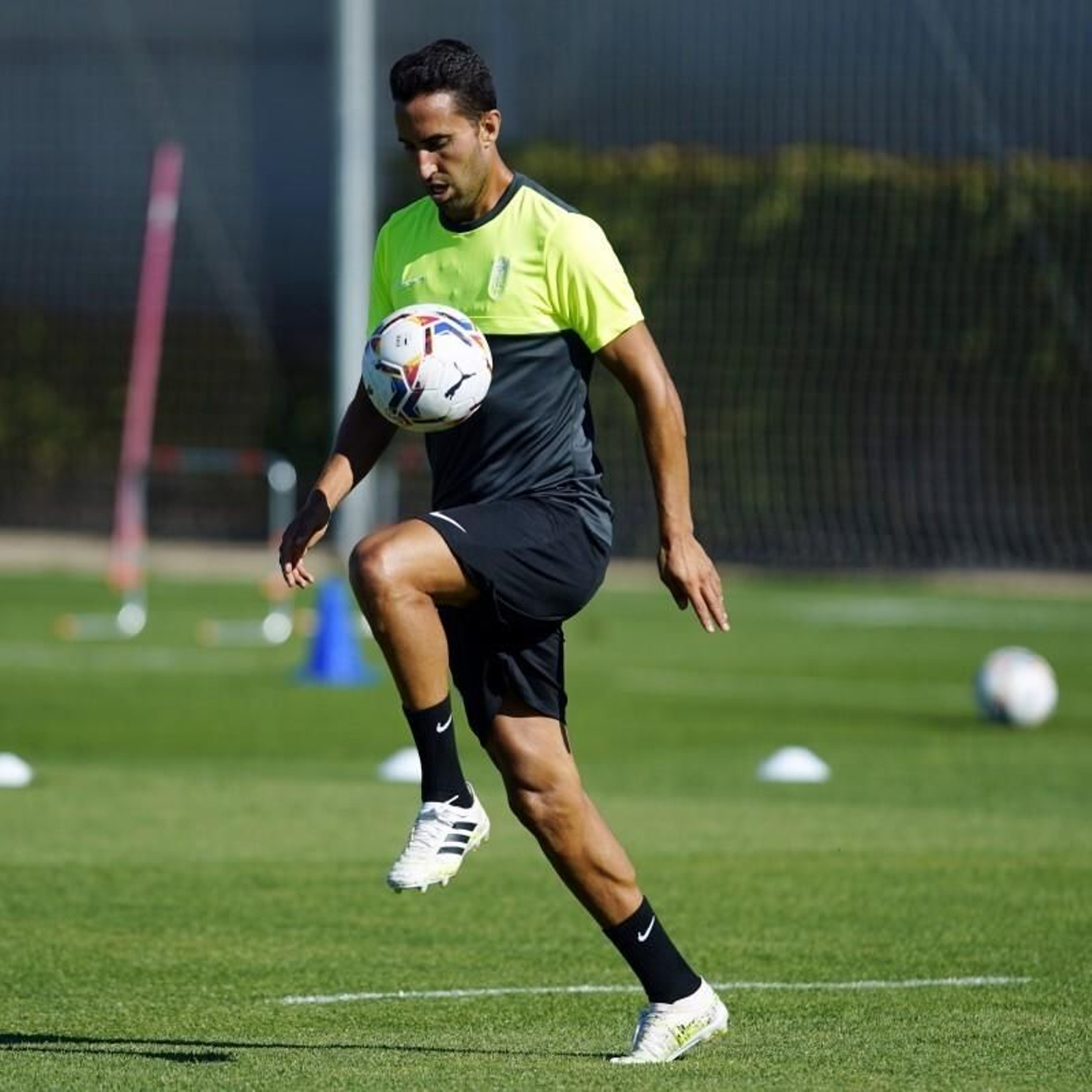 Montoro, el hombre franquicia de Diego Martínez