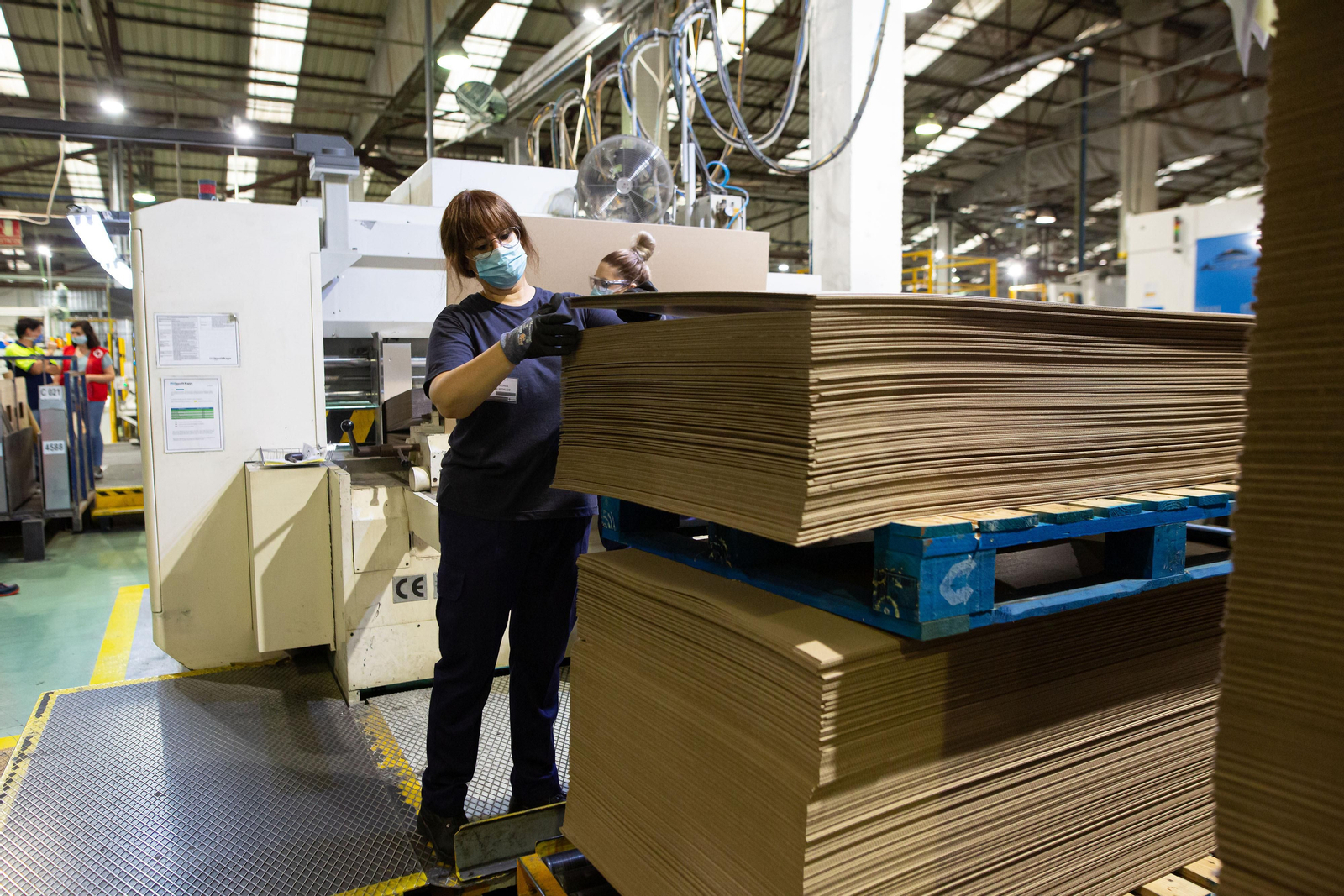 Una mujer hace prácticas dentro de uno de los talleres de empleo de Cruz Roja.