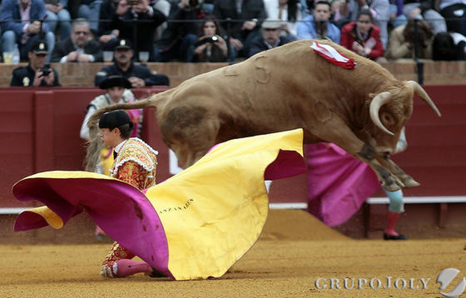 Lama de Góngora.

Foto: Juan Carlos Mu?
