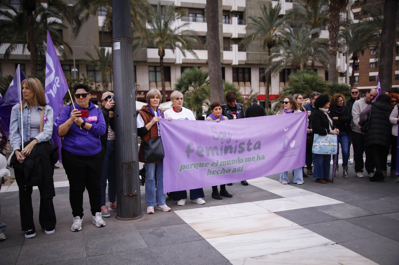 Las imágenes de la manifestación realizada por la Plataforma de Acción Feminista en Almería