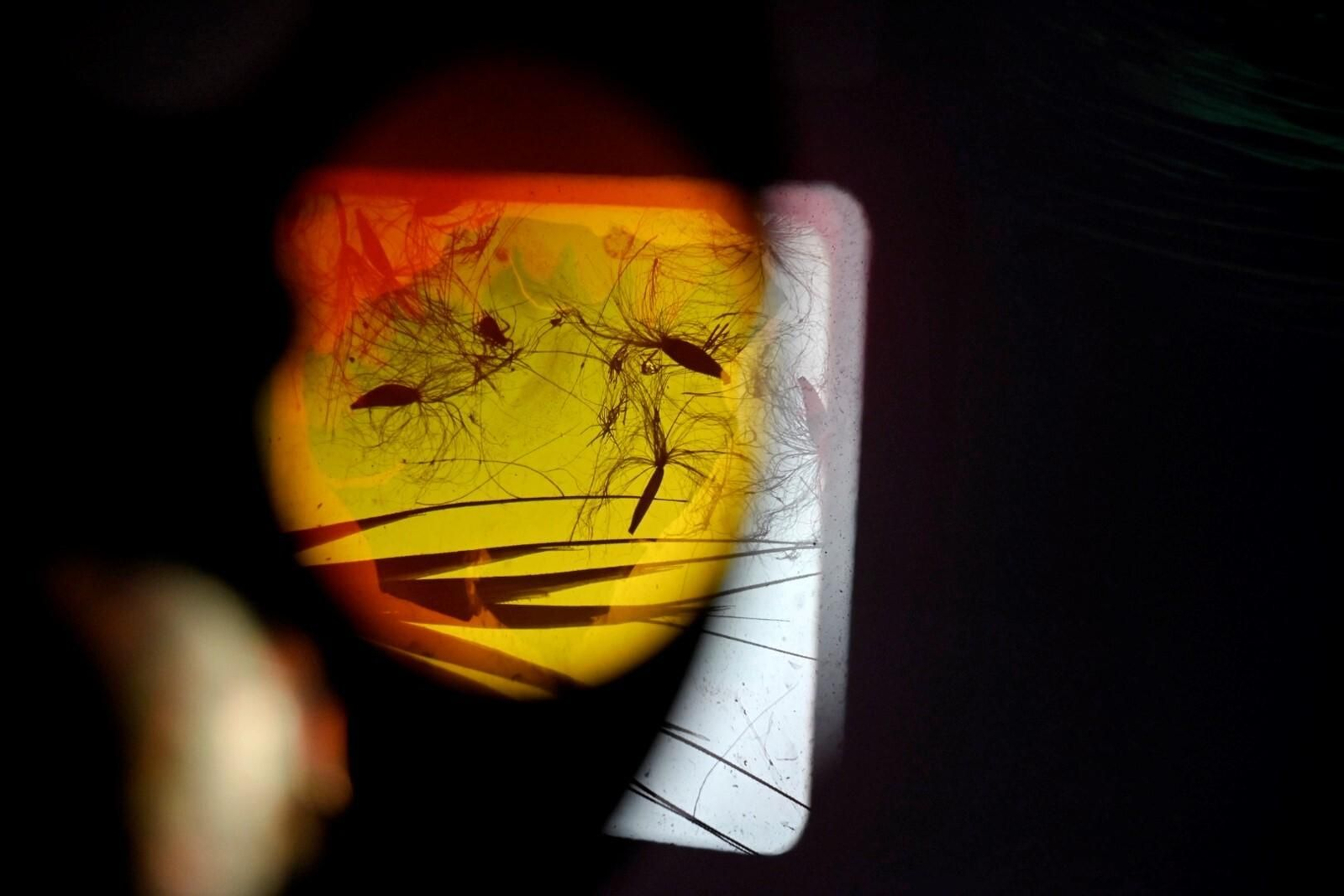 La exposición 'José Val del Omar: Una Técnica con T mayúscula', en imágenes