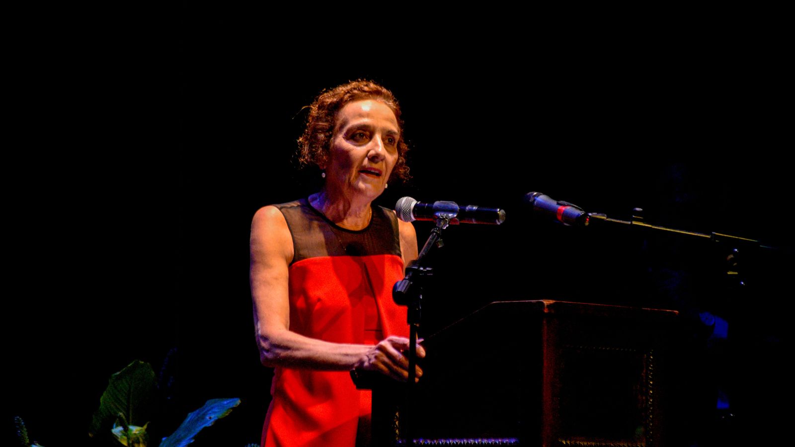 Las fotos de la II Gala de la Hispanidad premios 'Novia del Sol' a la cultura