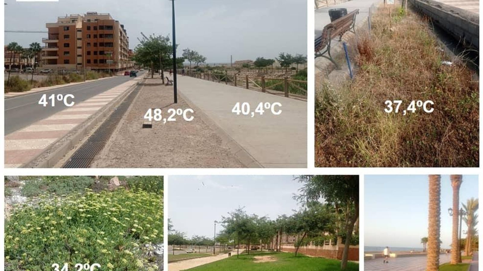 Temperatura del suelo a las 14 h en las diferentes parcelas muestreadas.