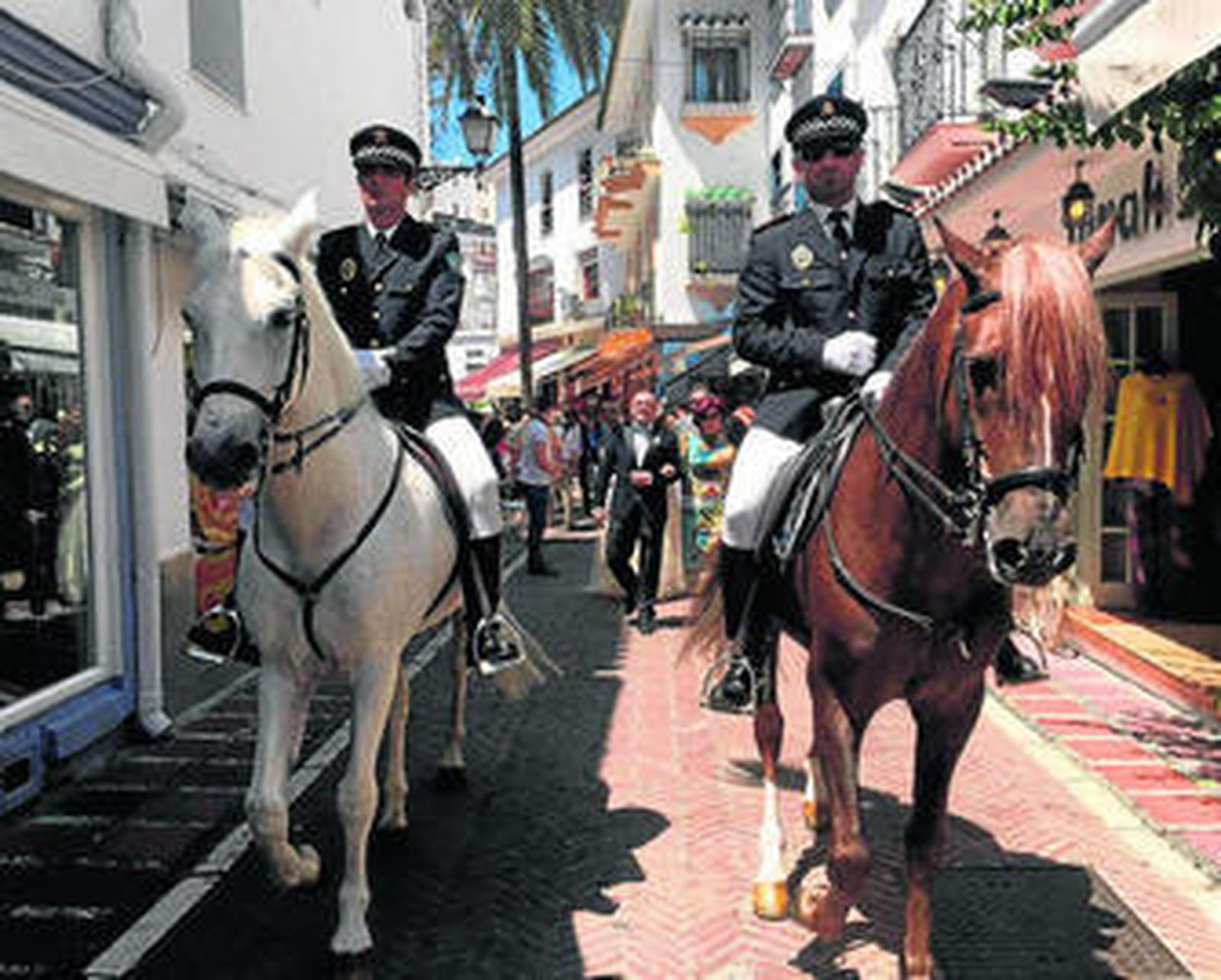 Dos de los caballos que participaron en la boda.