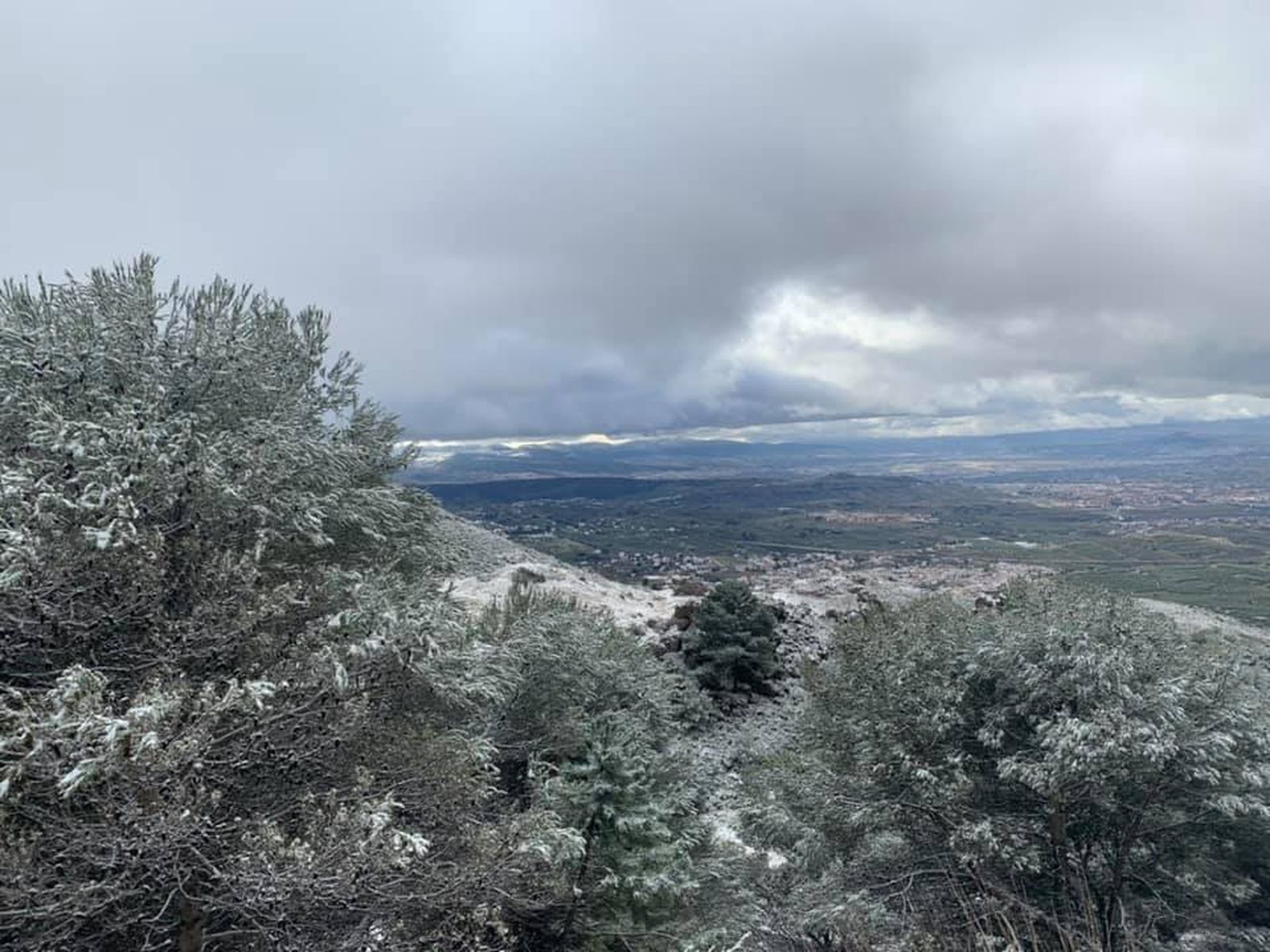 Fotos: La nieve llega a Granada capital y a pueblos del Cinturón