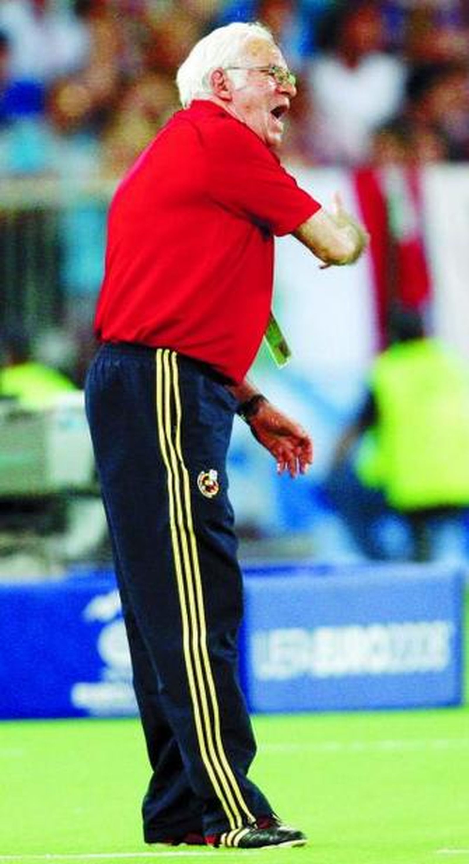 Luis Aragonés intenta corregir a los jugadores españoles.