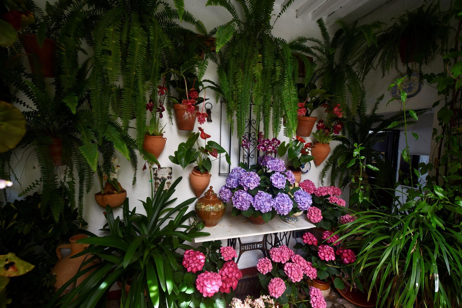 El último sábado de Patios de Córdoba en Alcázar Viejo, en imágenes