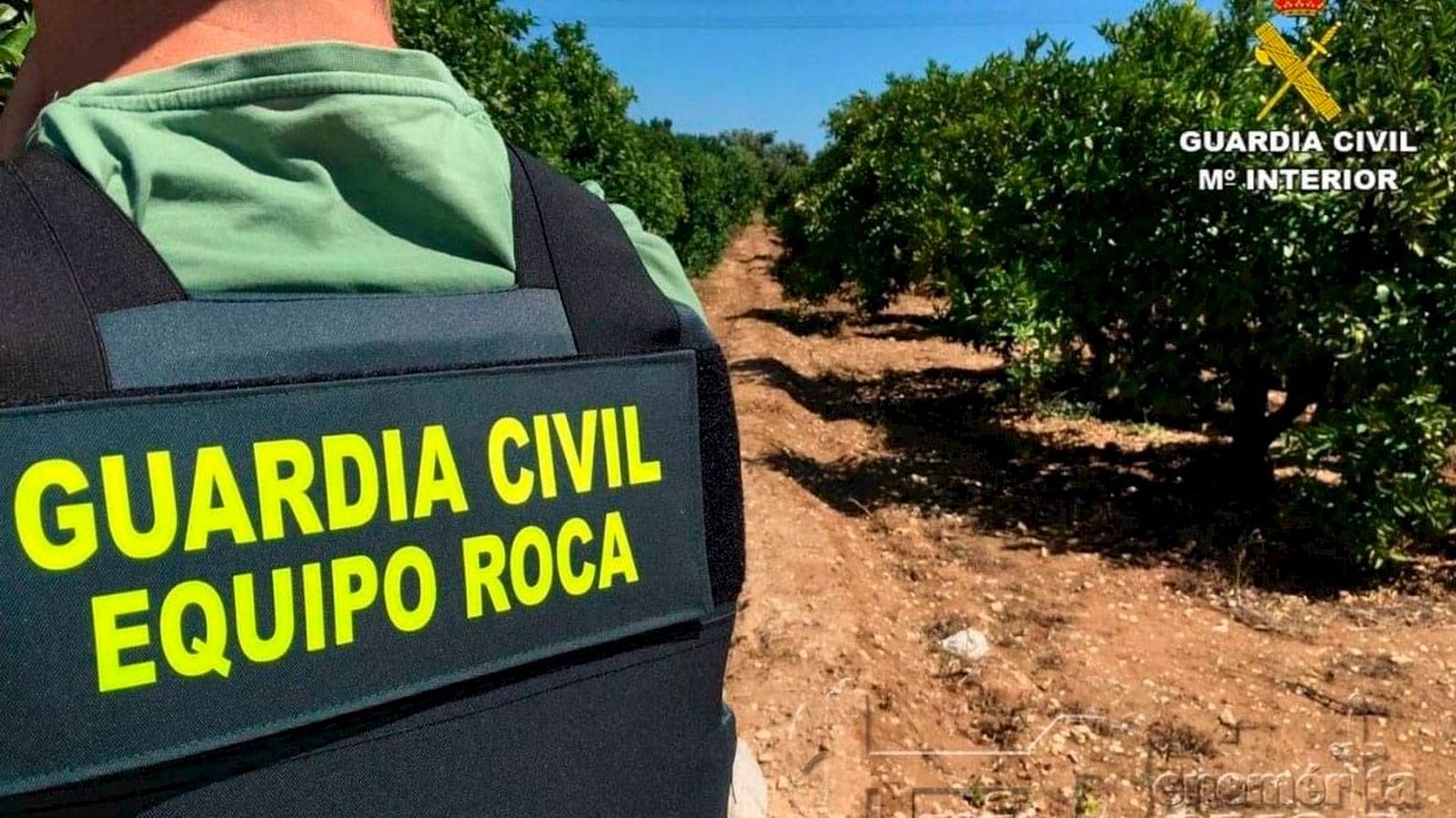 Agente del equipo Roca de la Guardia Civil | Imagen de archivo