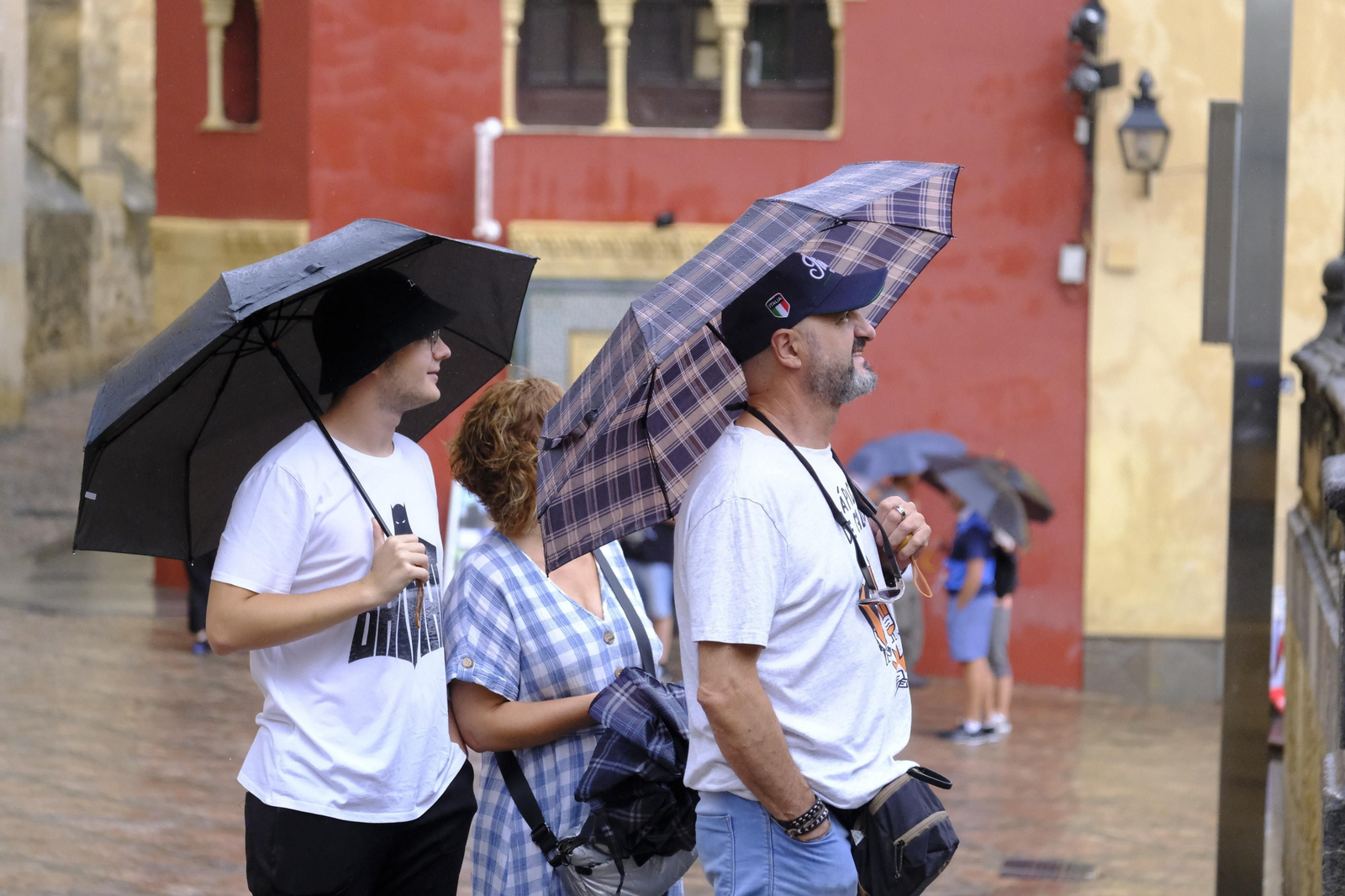 Una familia de turistas, bajo los paraguas.