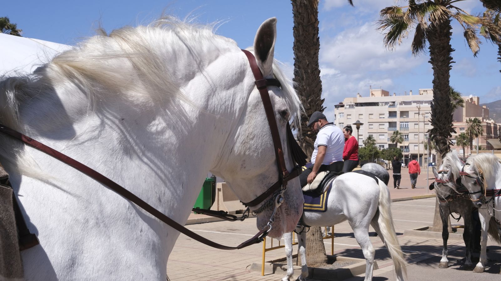 Fotogalería de las Fiestas de San Marcos en Adra.