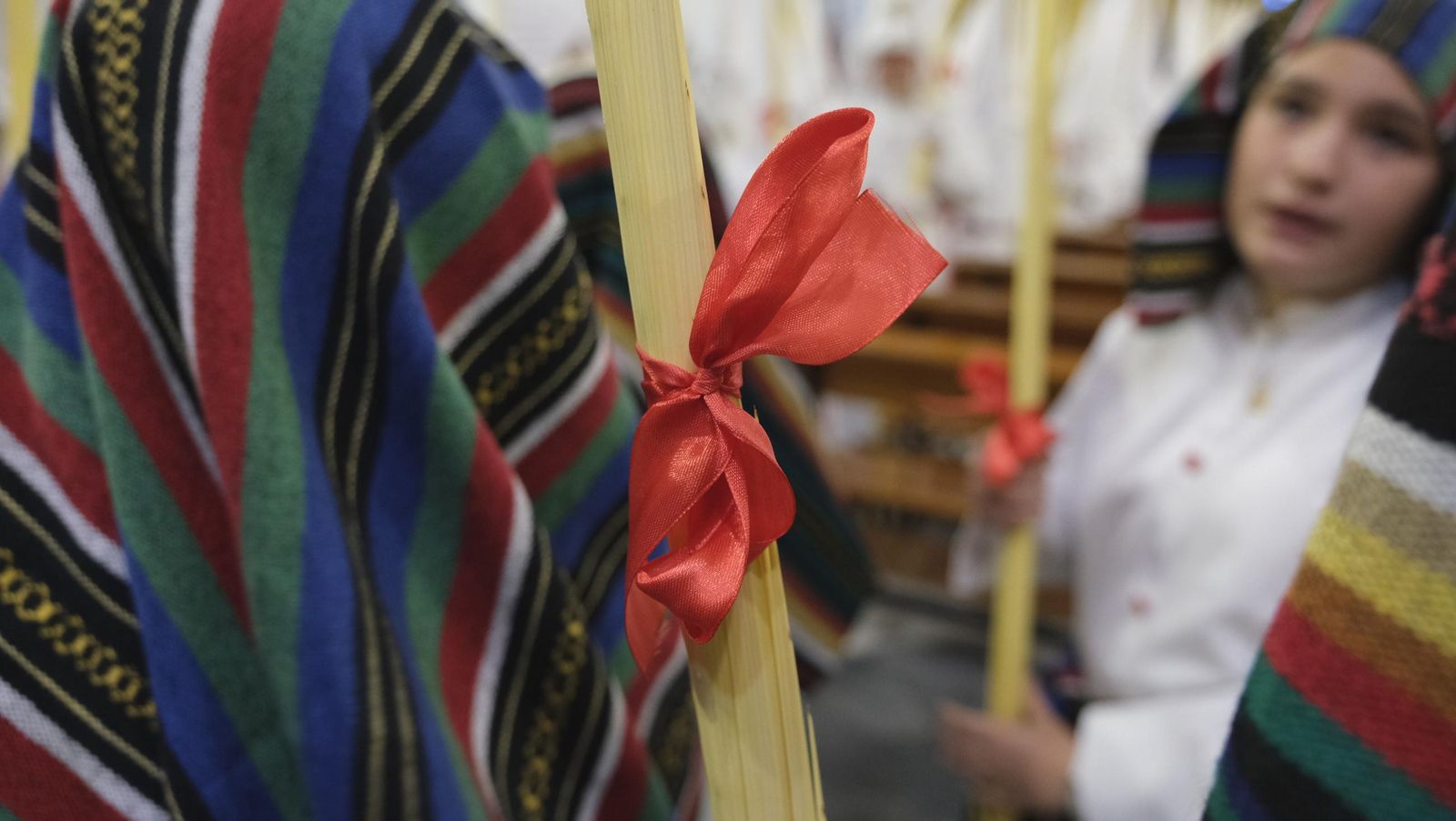 La Borriquita en la Semana Santa de Almería 2025, en imágenes