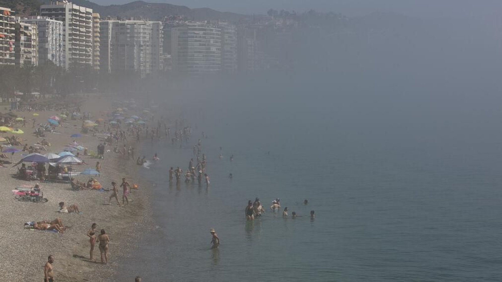 El taró, cubriendo el literal malagueño