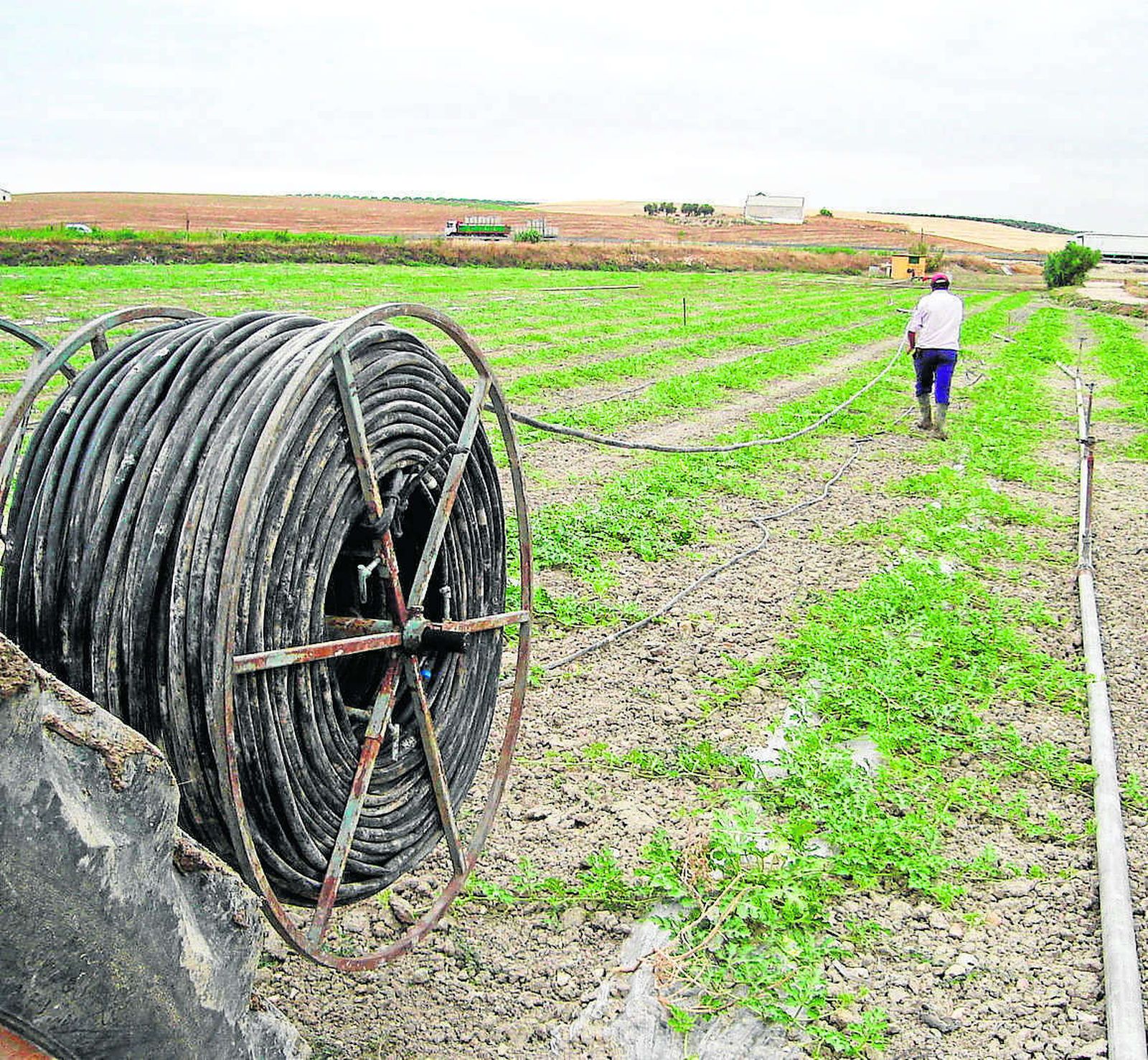 Tareas de instalación de infraestructuras para regadío.