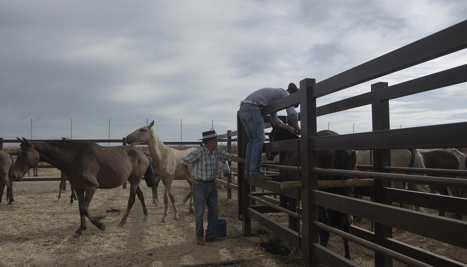 La tradicional y ancestral 'Saca de las  Yeguas', en imágenes