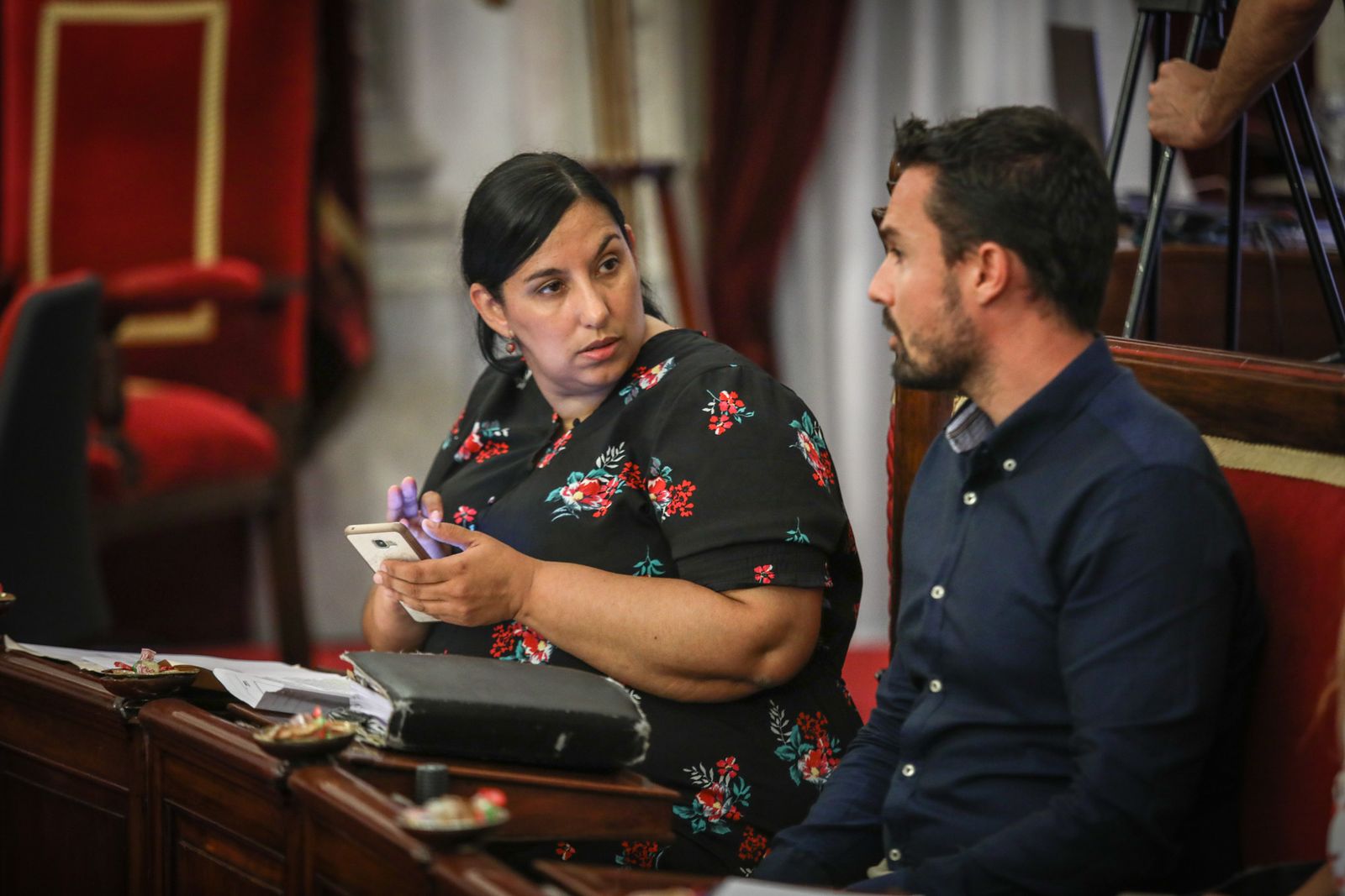 Ana Fernández, durante el Pleno de Organización