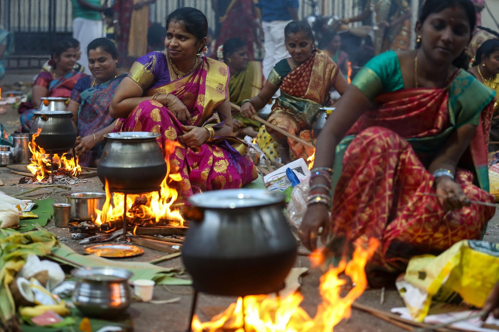 Las preciosas imágenes del Festival Thai Pongal en India