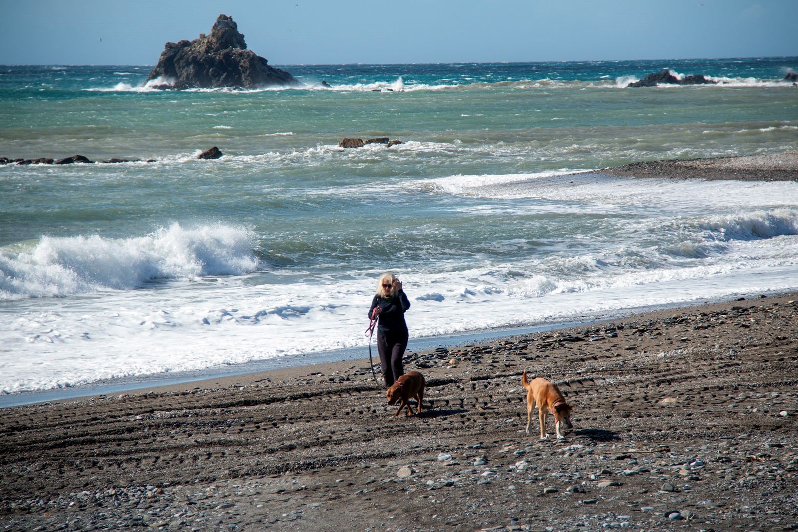 Una mujer con sus perros en la playa de Almuñécar
