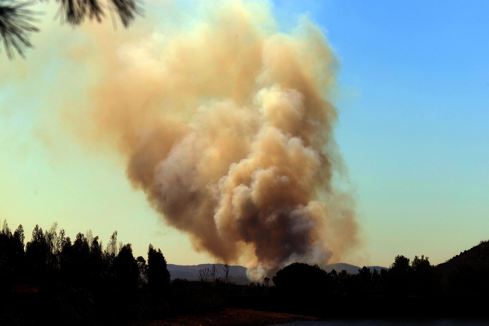 Imágenes de la devastación que deja a su paso el incendio de Almonaster la real.
