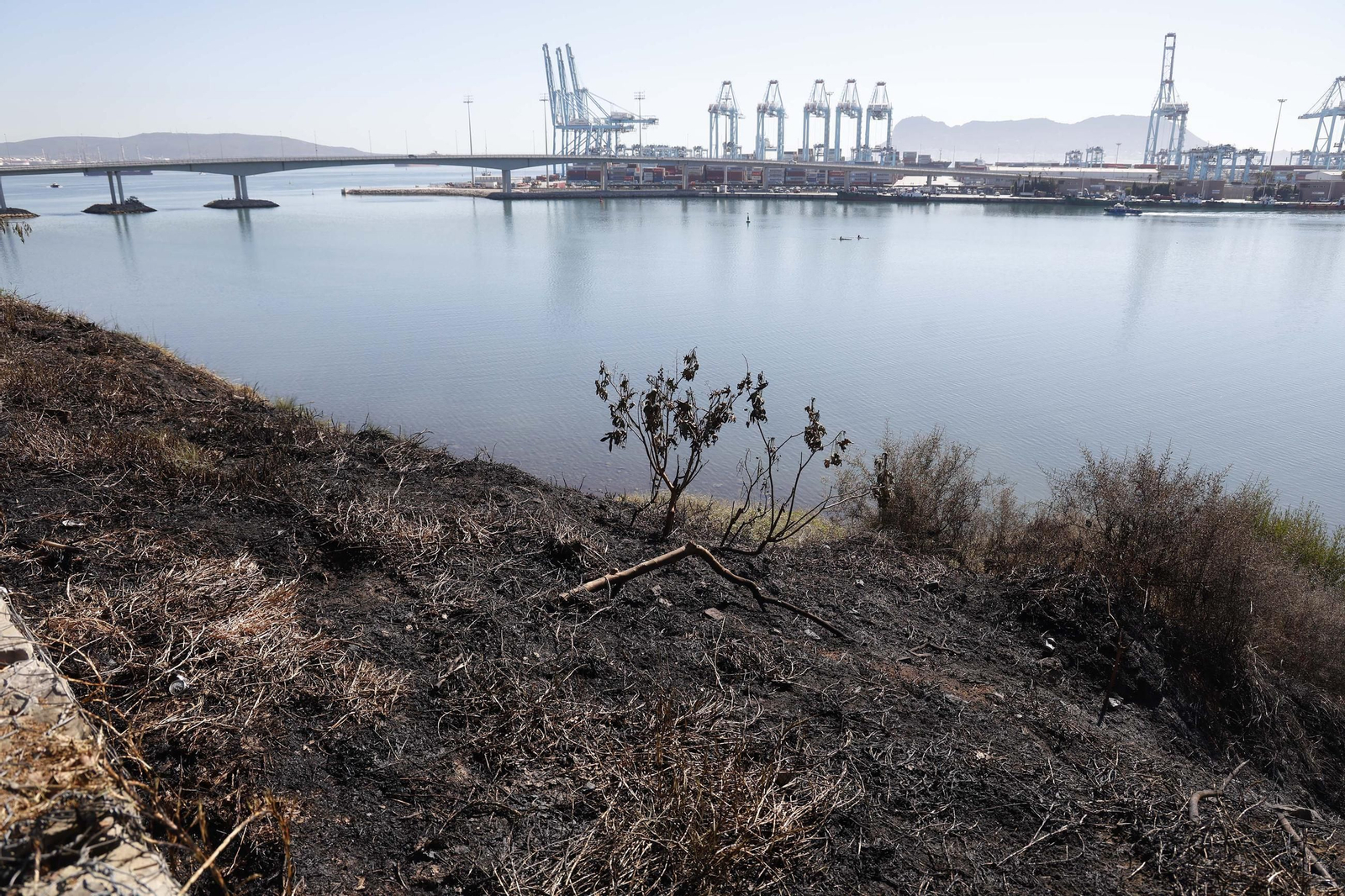 Así ha quedado la zona quemada por el incendio en el Paseo de la Cornisa de Algeciras