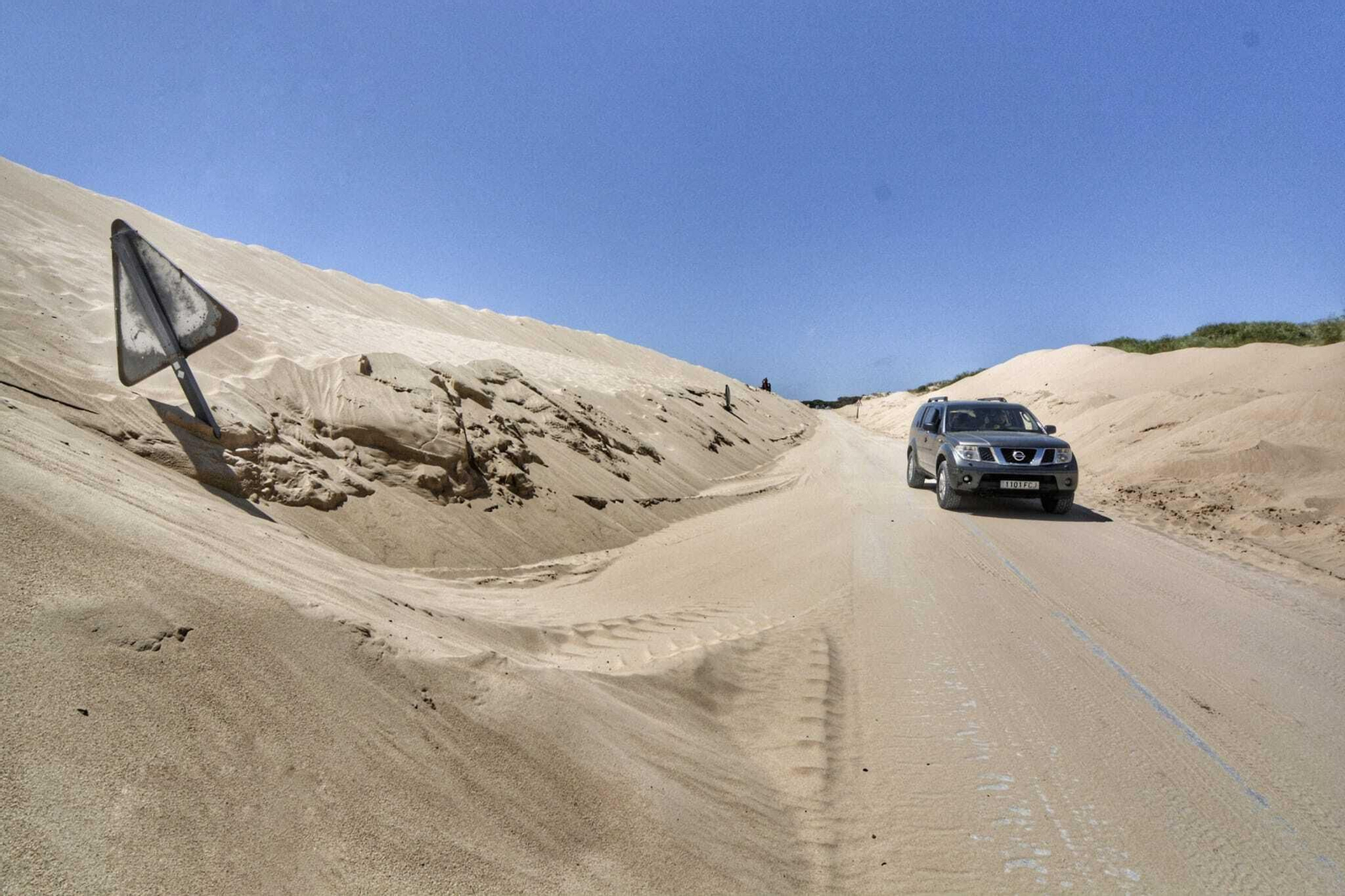 El avance de la duna de Valdevaqueros en Tarifa