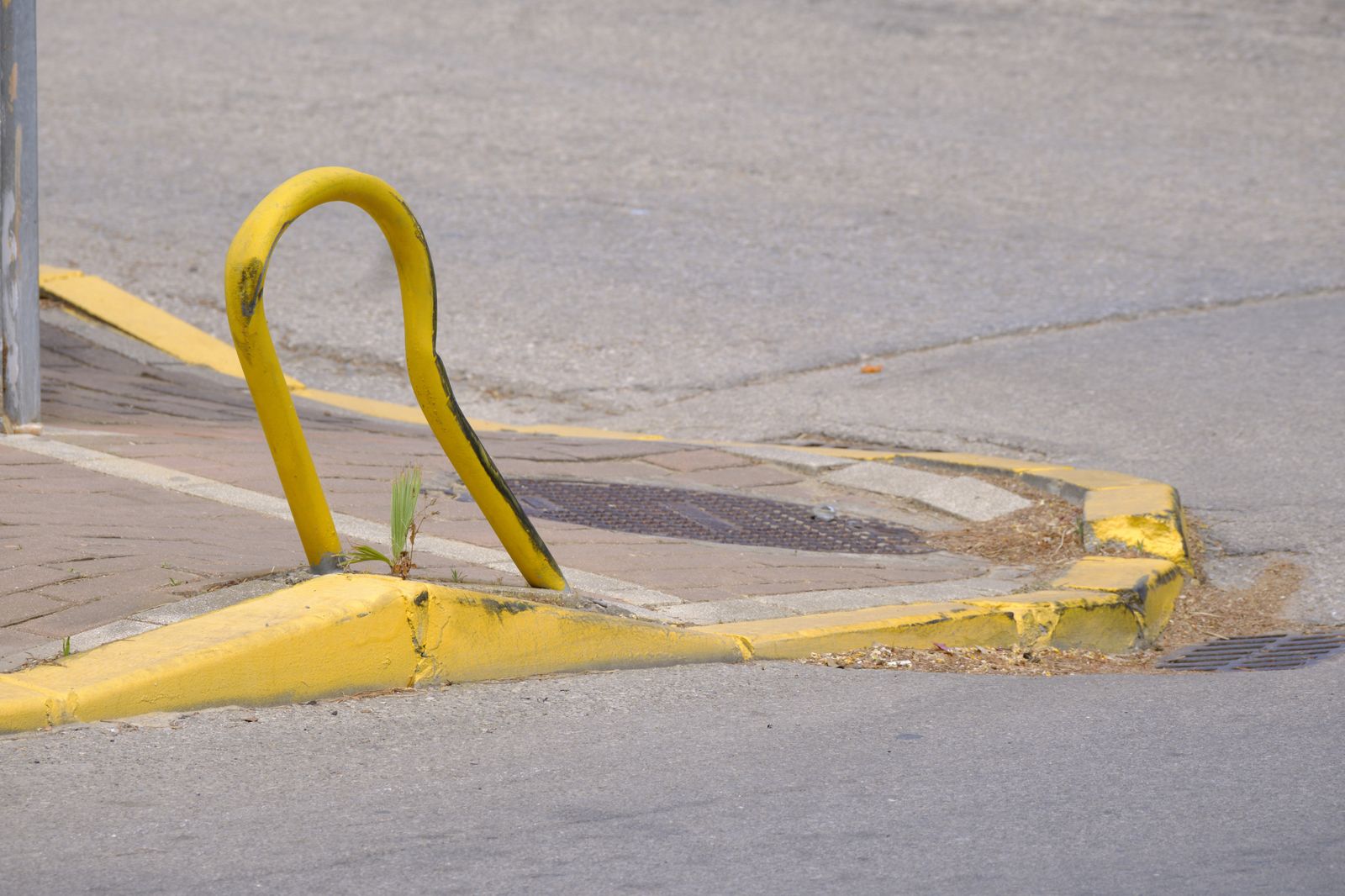 Pavimento en mal estado, susceptible de provocar tropiezos, caidas y accidentes.