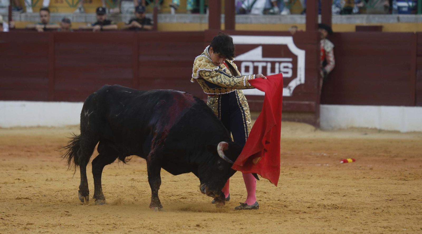 Fotos del triunfo de Manuel Roman y Javier Zulueta con la buena novillada de Núñez de Tarifa que abrió la Feria de La Línea