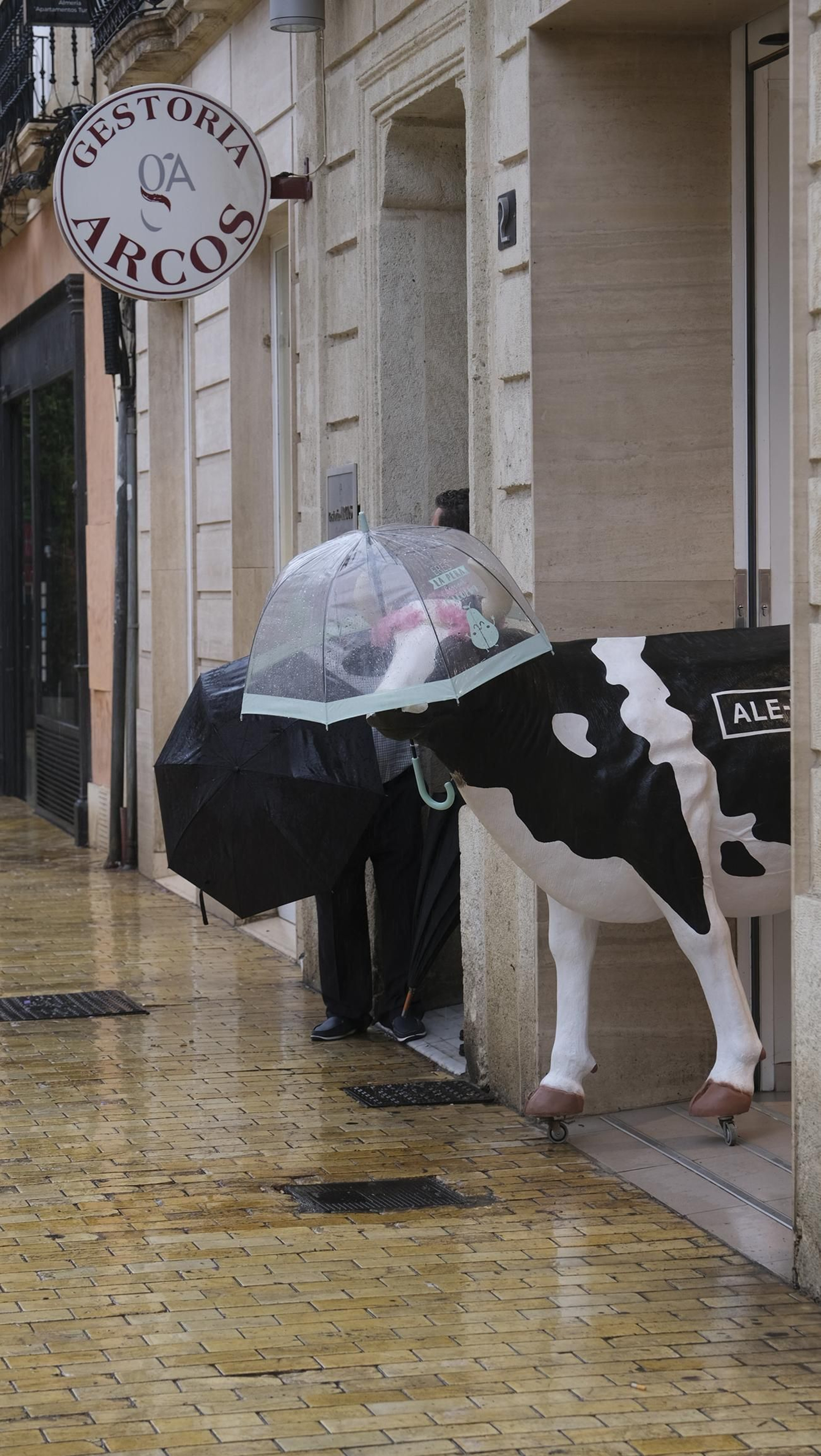 Los almerienses expresan su alegría por la lluvia