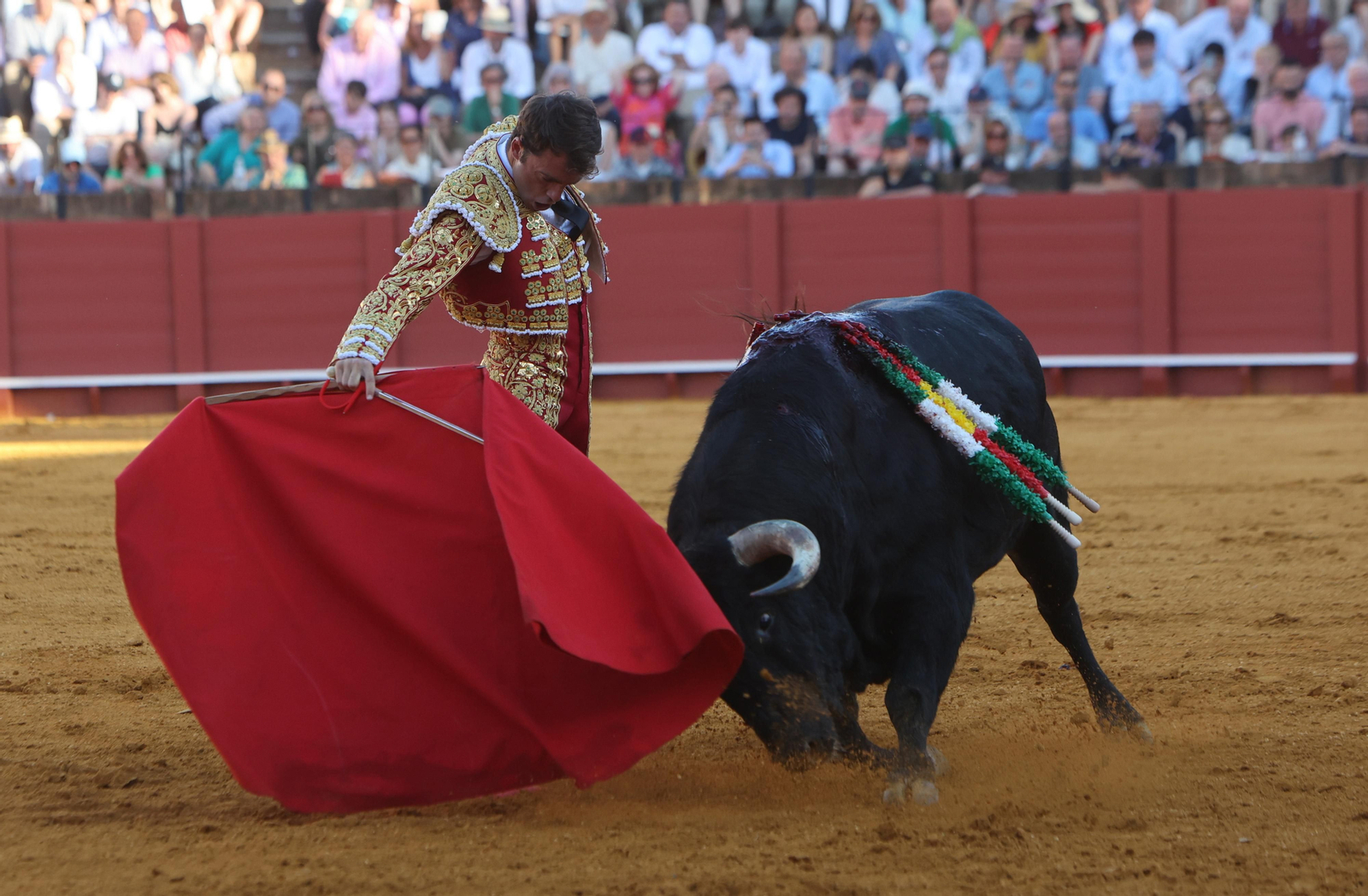 Las mejores imágenes de la corrida de hoy