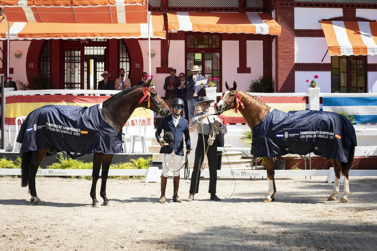 El concurso Campeón de Campeones en el Depósito de Sementales de Jerez