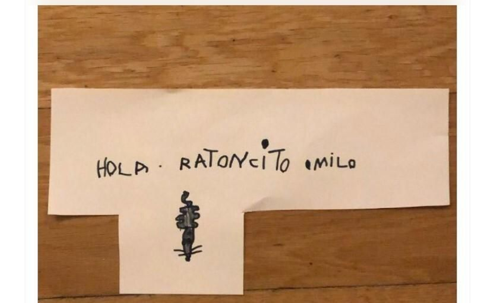 Twitter de María García Puig.