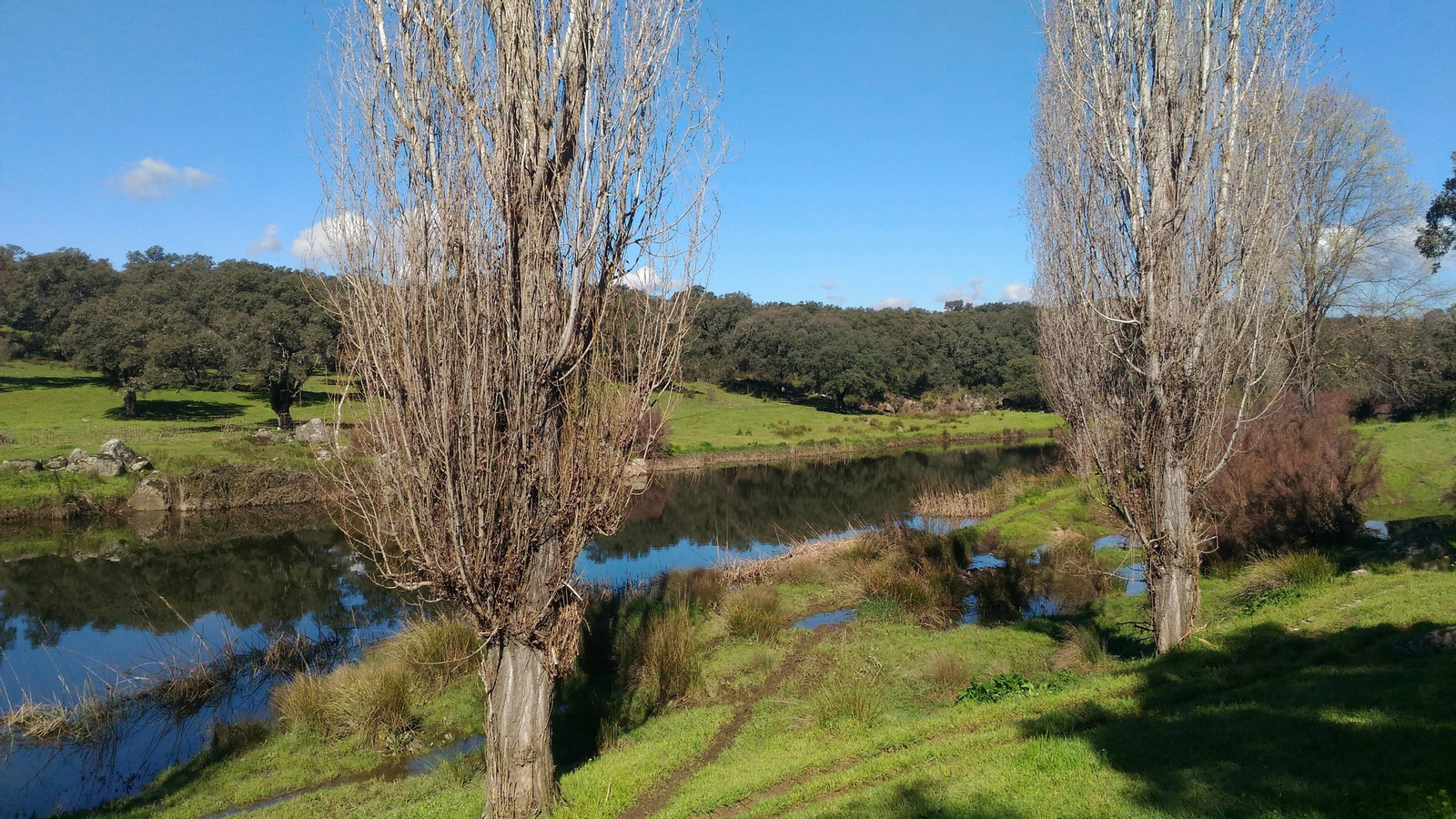 Fotos de la ruta circular de El Real de la Jara