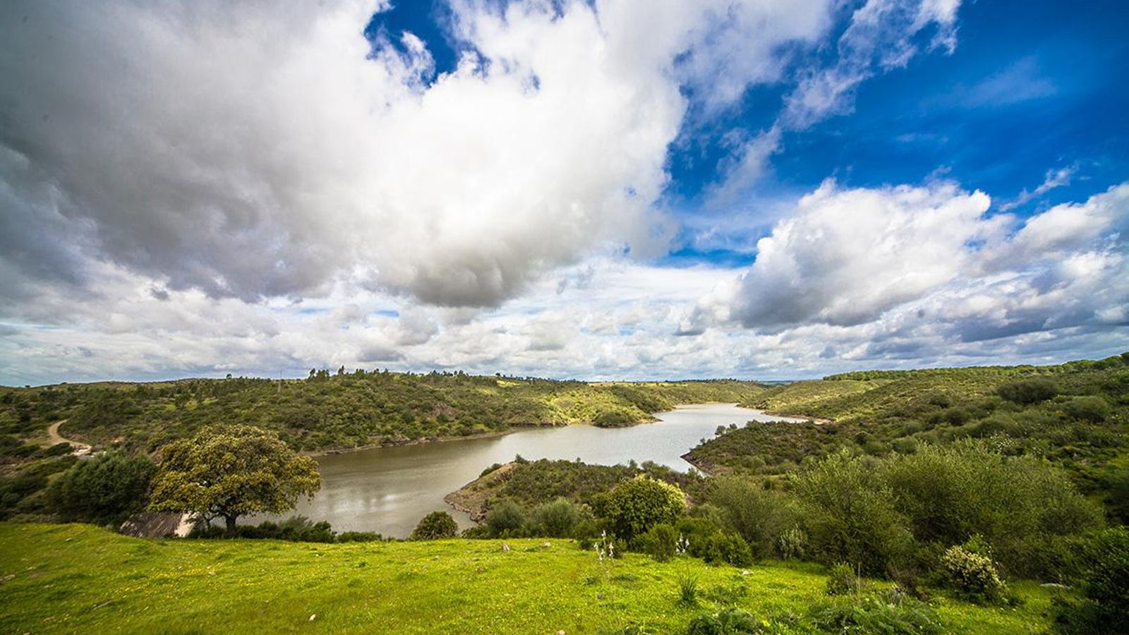 Entorno del embalse de Beas.