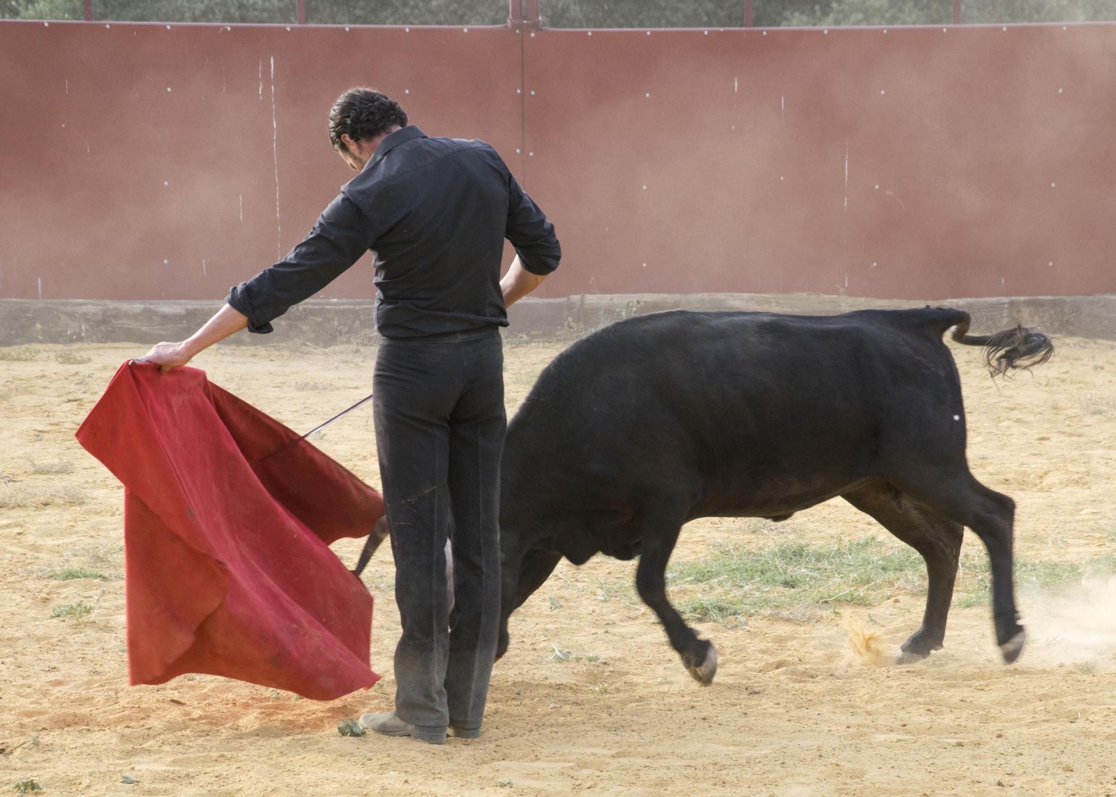 Finito de Córdoba, en un tentadero en la Sierra, en imágenes