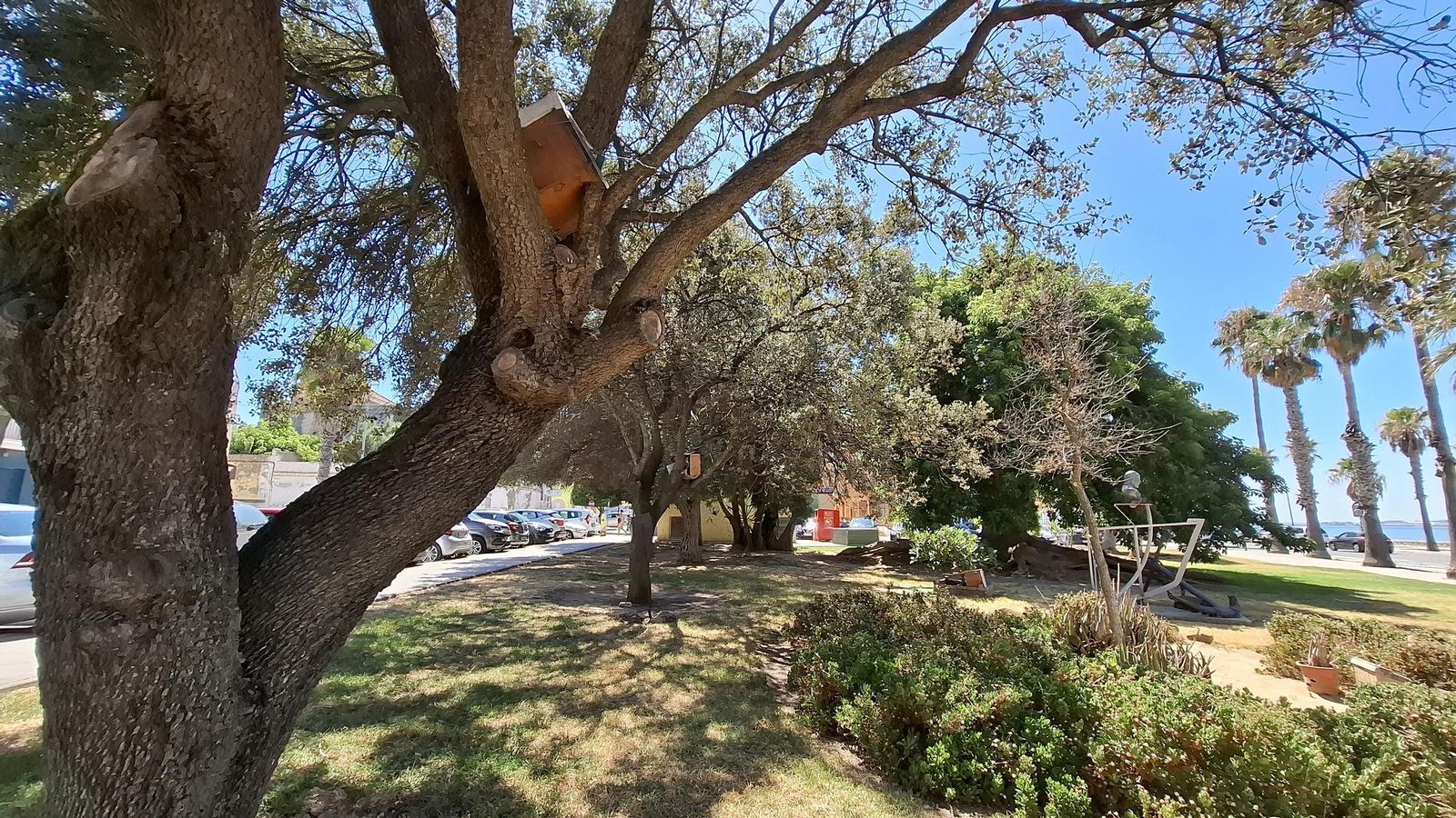 Parque del Almirante Cervera en Puerto Real