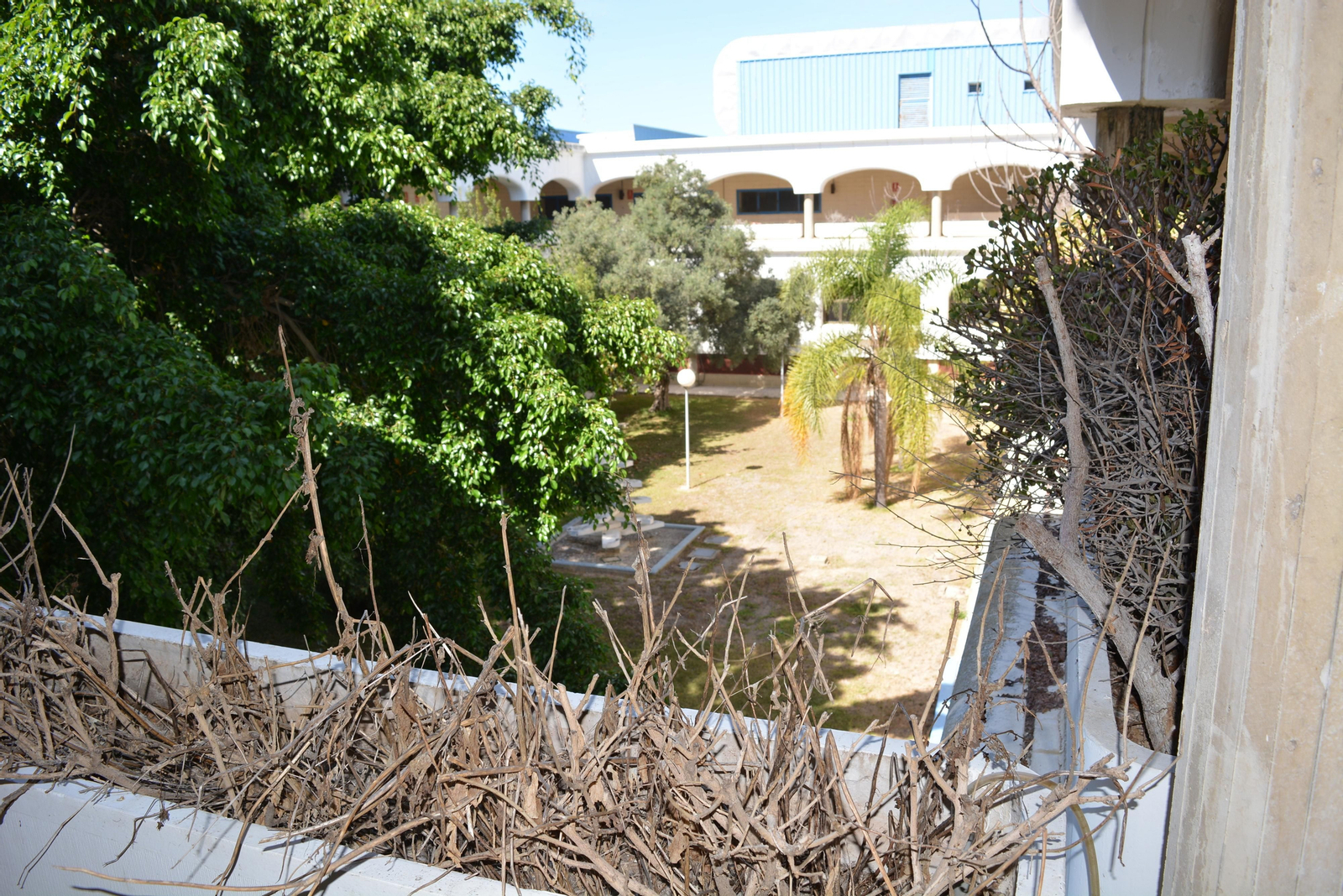 Así es el complejo de Altadis en la Zona Franca de Cádiz