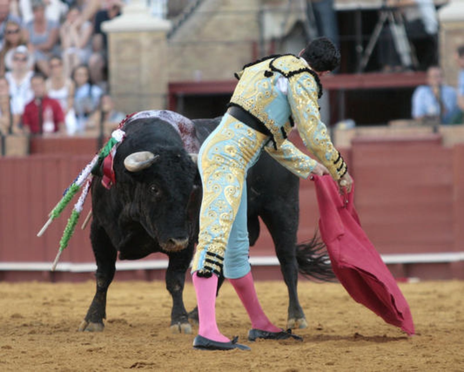 Martín Núñez mira fijamente al morlaco.

Foto: Juan Carlos Muñoz