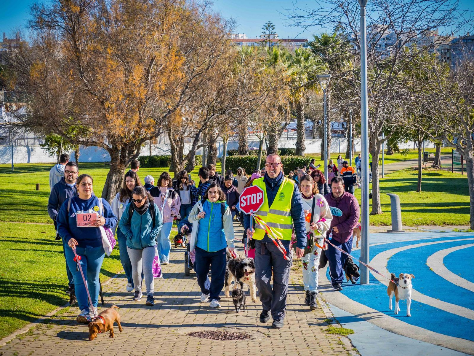 Las imágenes de San Antón 2025 en San Fernando