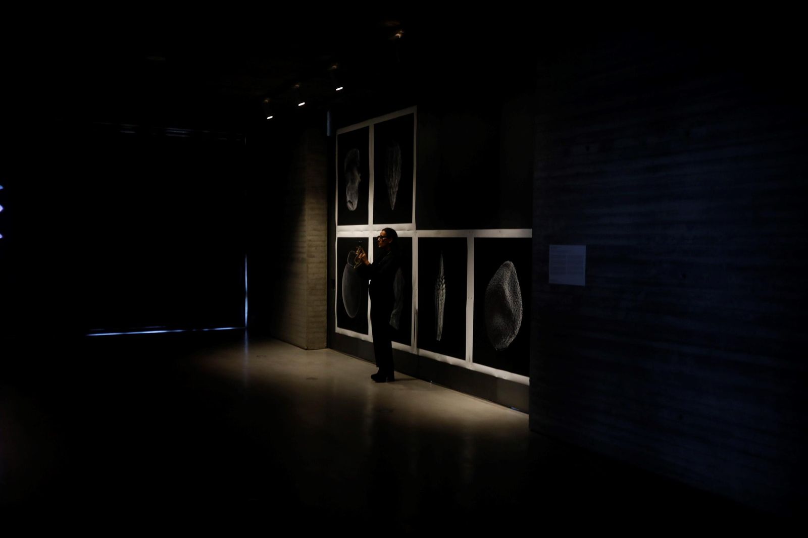 Los artistas residentes del C3A muestran sus obras