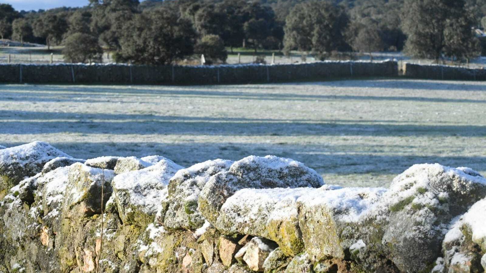 Una finca de Cardeña nevada.