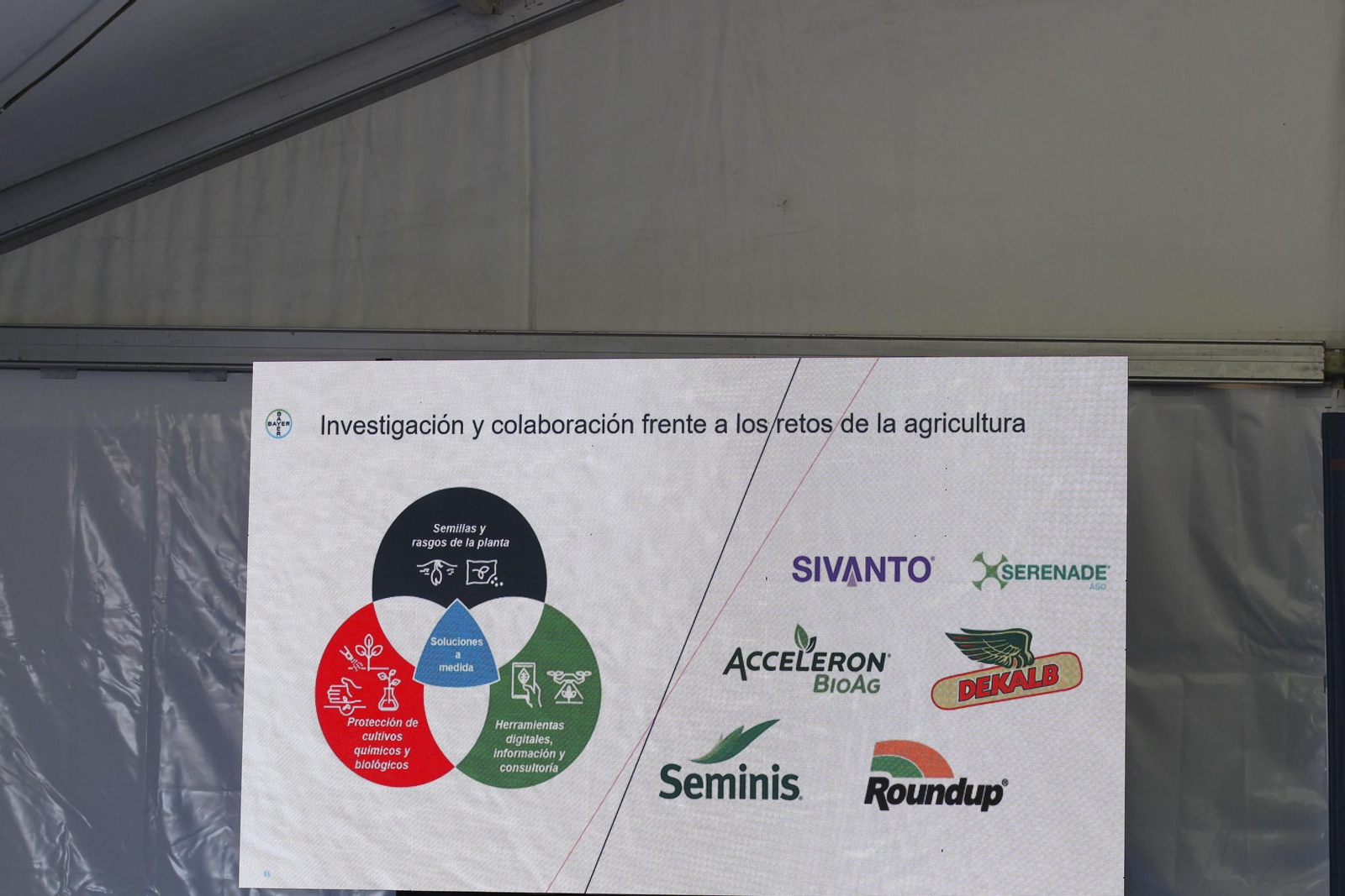 Fotogalería presentación resultados Bayer