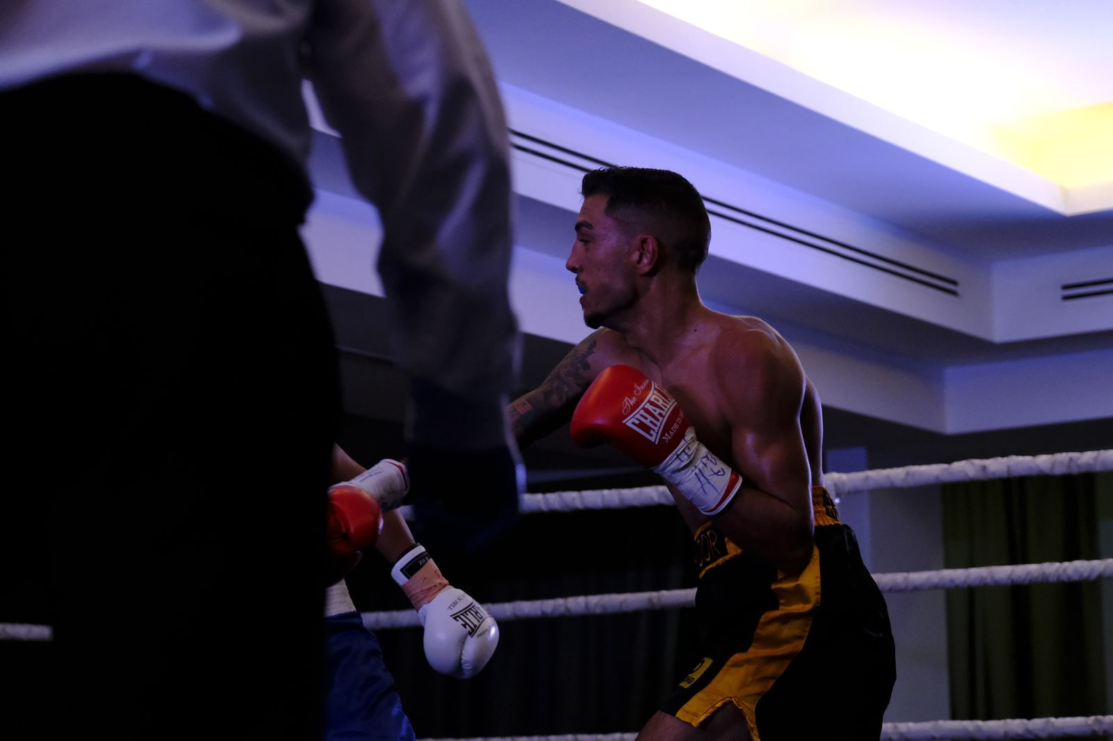 Fotogalería de la velada de boxeo Diamonds Boxing