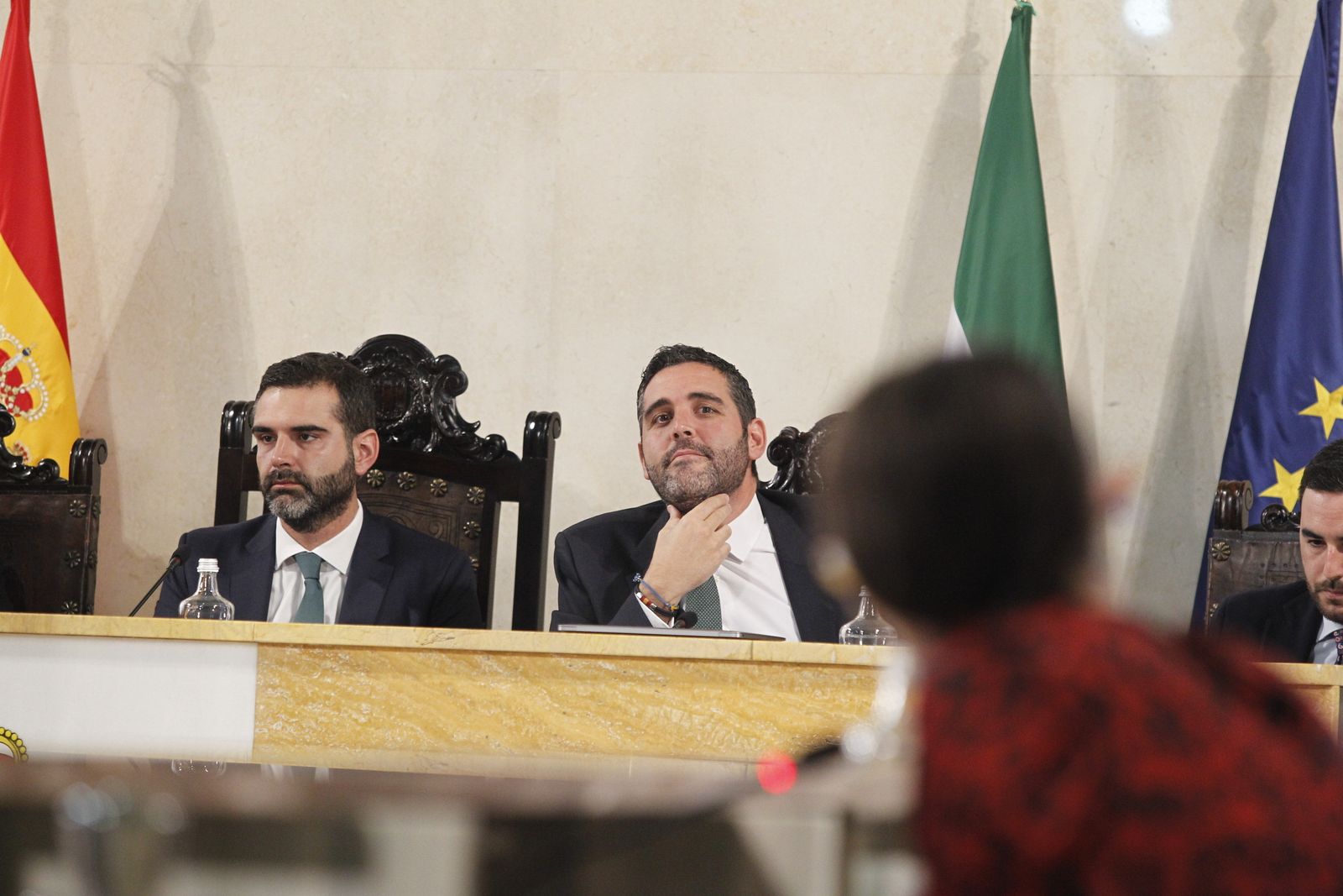 Fotogalería Pleno Extraordinario Ayuntamiento de Almería