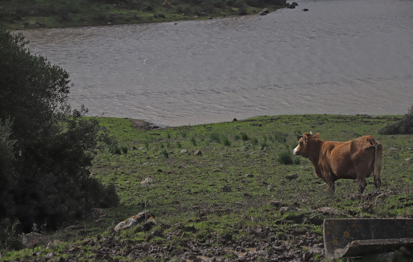 Fotos del embalse de Almodóvar en Tarifa